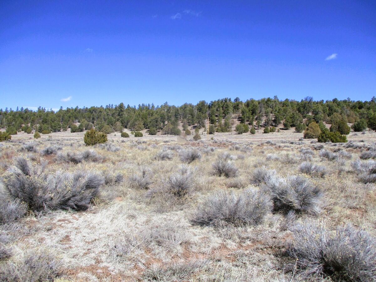 Lot 10 Sagebrush Road, Ramah, New Mexico image 40