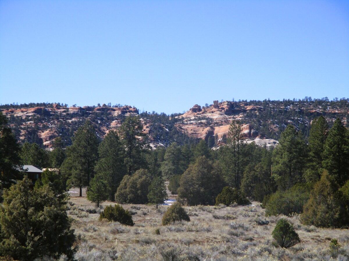 Lot 10 Sagebrush Road, Ramah, New Mexico image 10