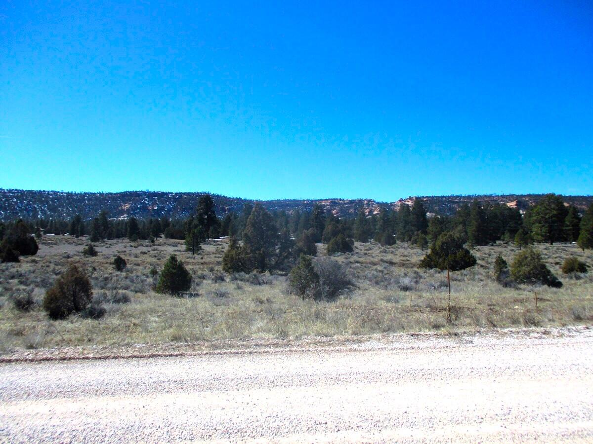 Lot 10 Sagebrush Road, Ramah, New Mexico image 13