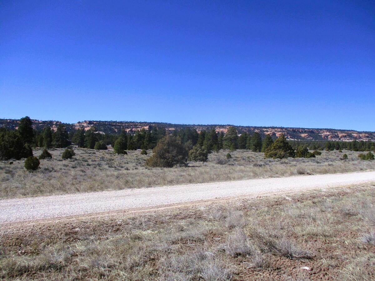 Lot 10 Sagebrush Road, Ramah, New Mexico image 7