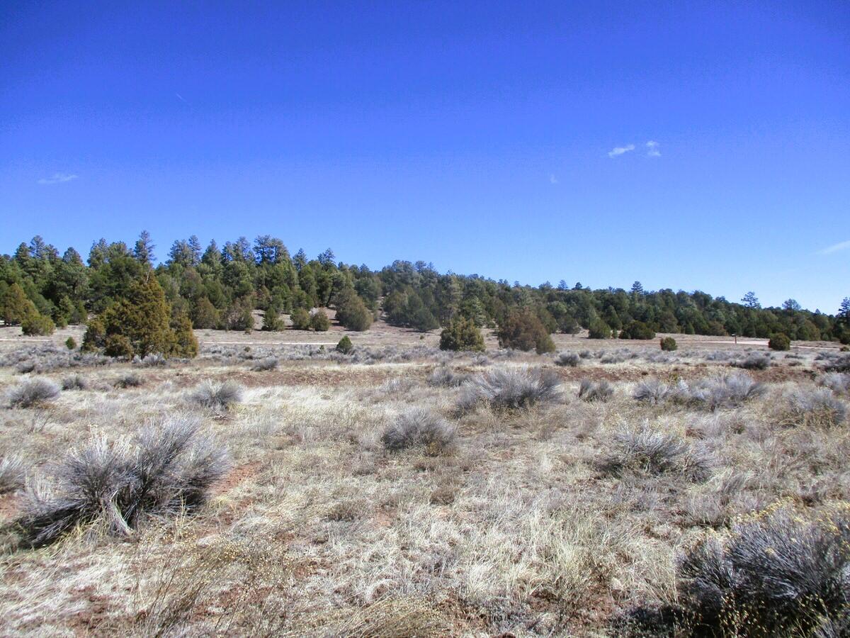 Lot 10 Sagebrush Road, Ramah, New Mexico image 45