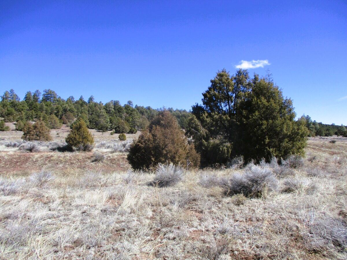 Lot 10 Sagebrush Road, Ramah, New Mexico image 46