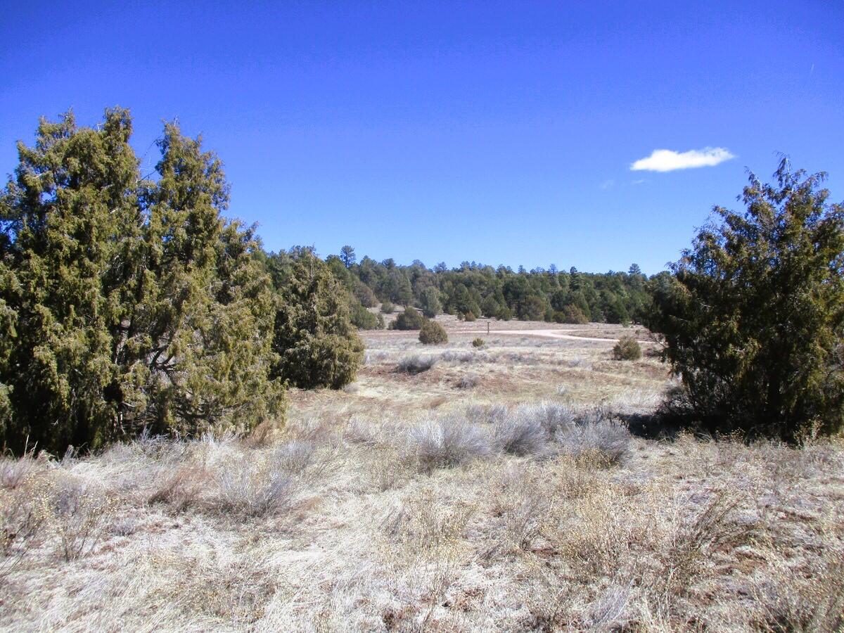 Lot 10 Sagebrush Road, Ramah, New Mexico image 48