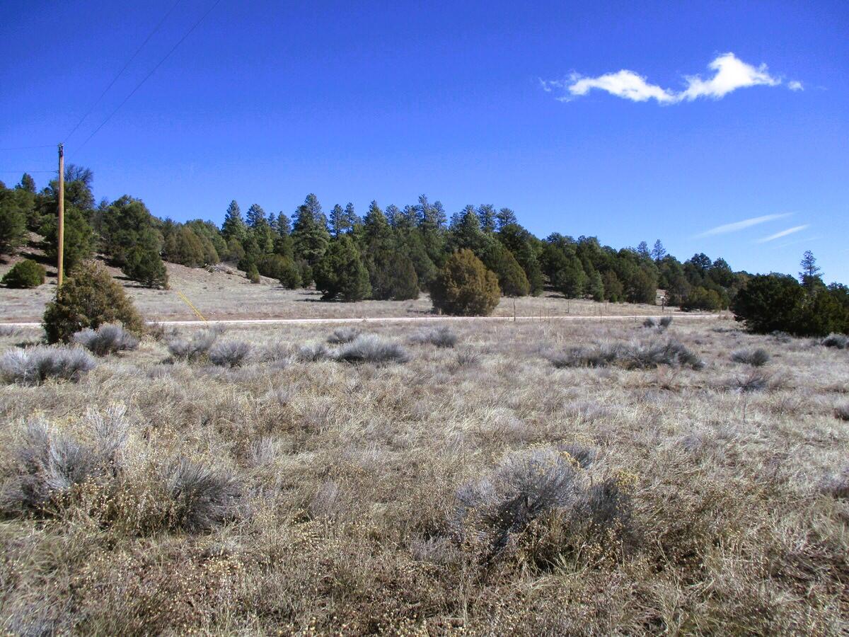 Lot 10 Sagebrush Road, Ramah, New Mexico image 22