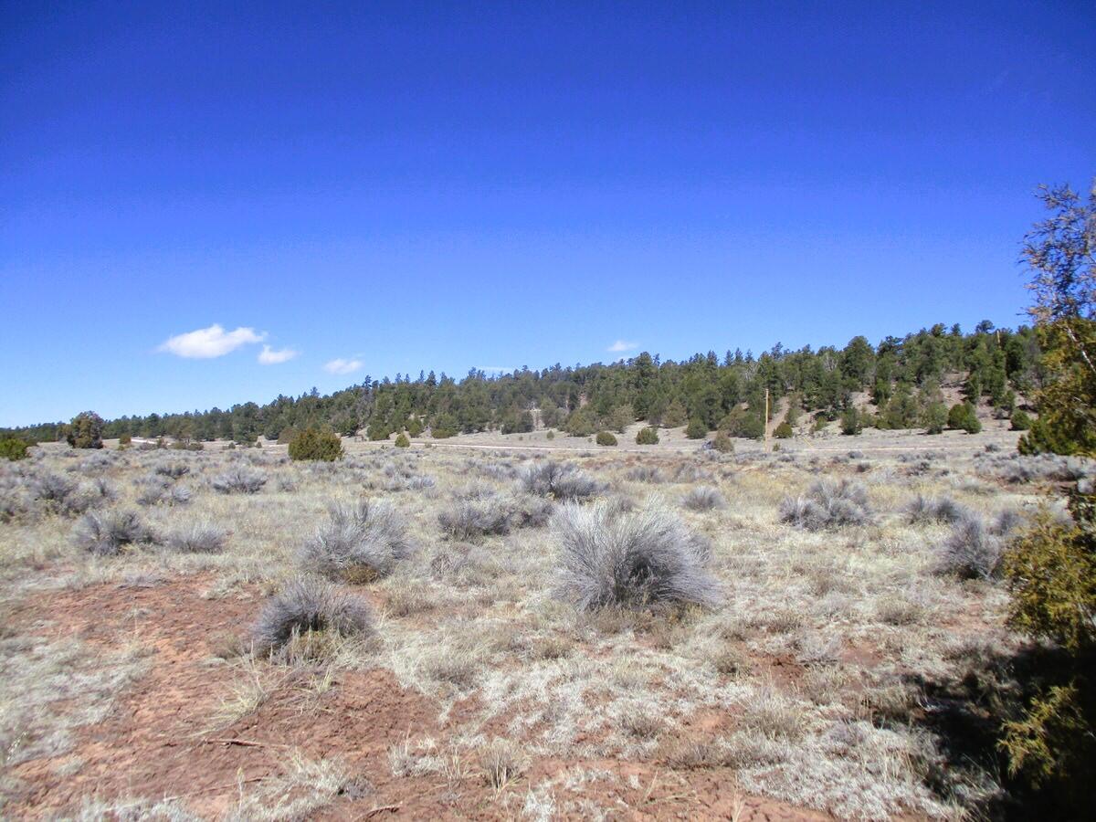 Lot 10 Sagebrush Road, Ramah, New Mexico image 44