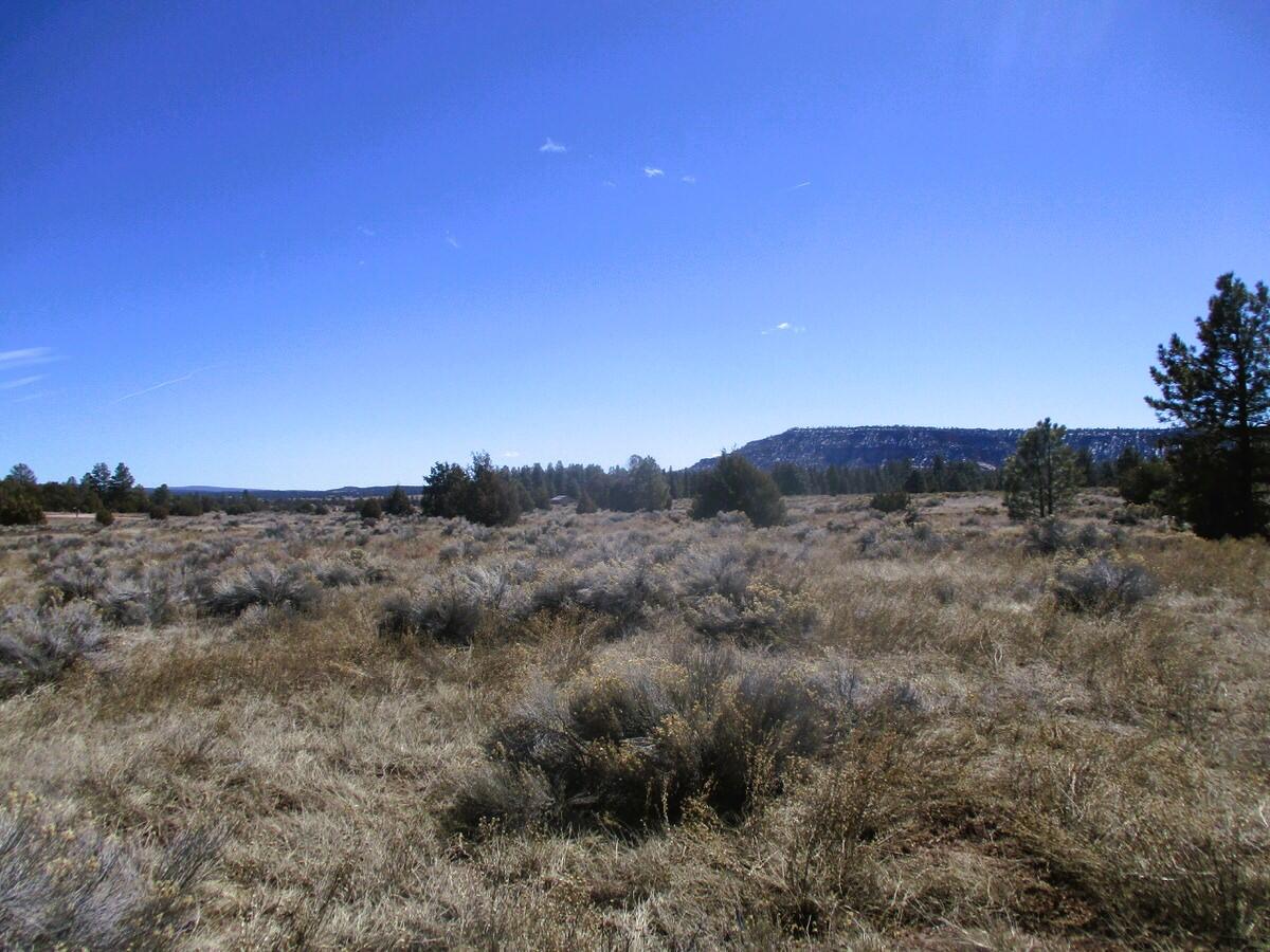 Lot 10 Sagebrush Road, Ramah, New Mexico image 38