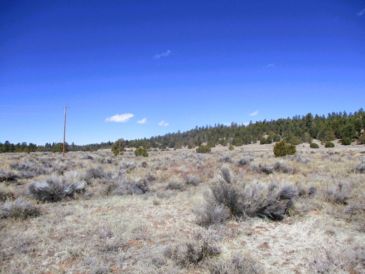 Lot 10 Sagebrush Road, Ramah, New Mexico image 39