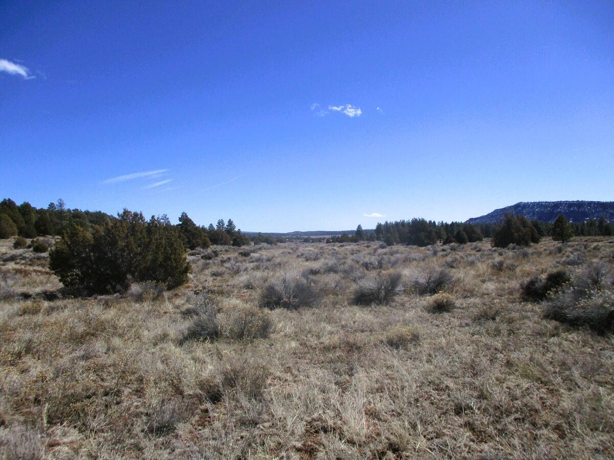 Lot 10 Sagebrush Road, Ramah, New Mexico image 32