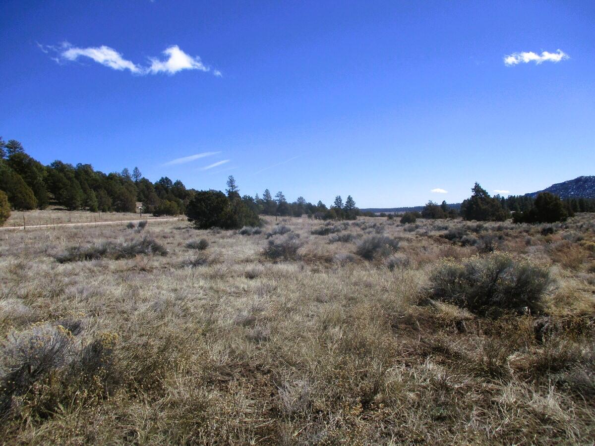 Lot 10 Sagebrush Road, Ramah, New Mexico image 23