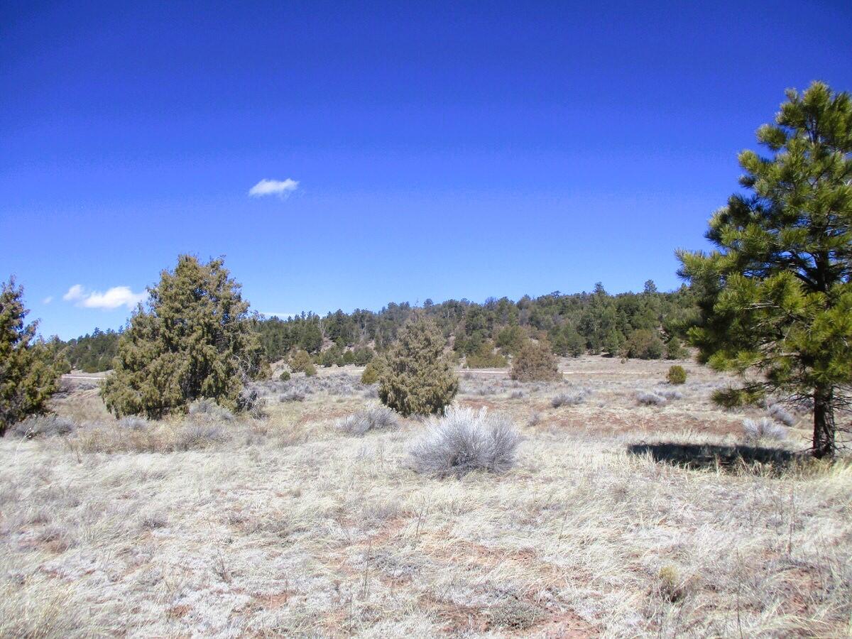 Lot 10 Sagebrush Road, Ramah, New Mexico image 50