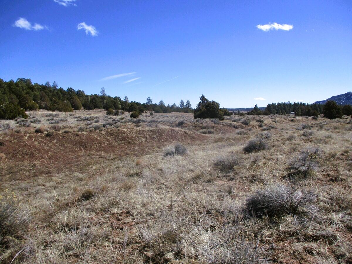 Lot 10 Sagebrush Road, Ramah, New Mexico image 27