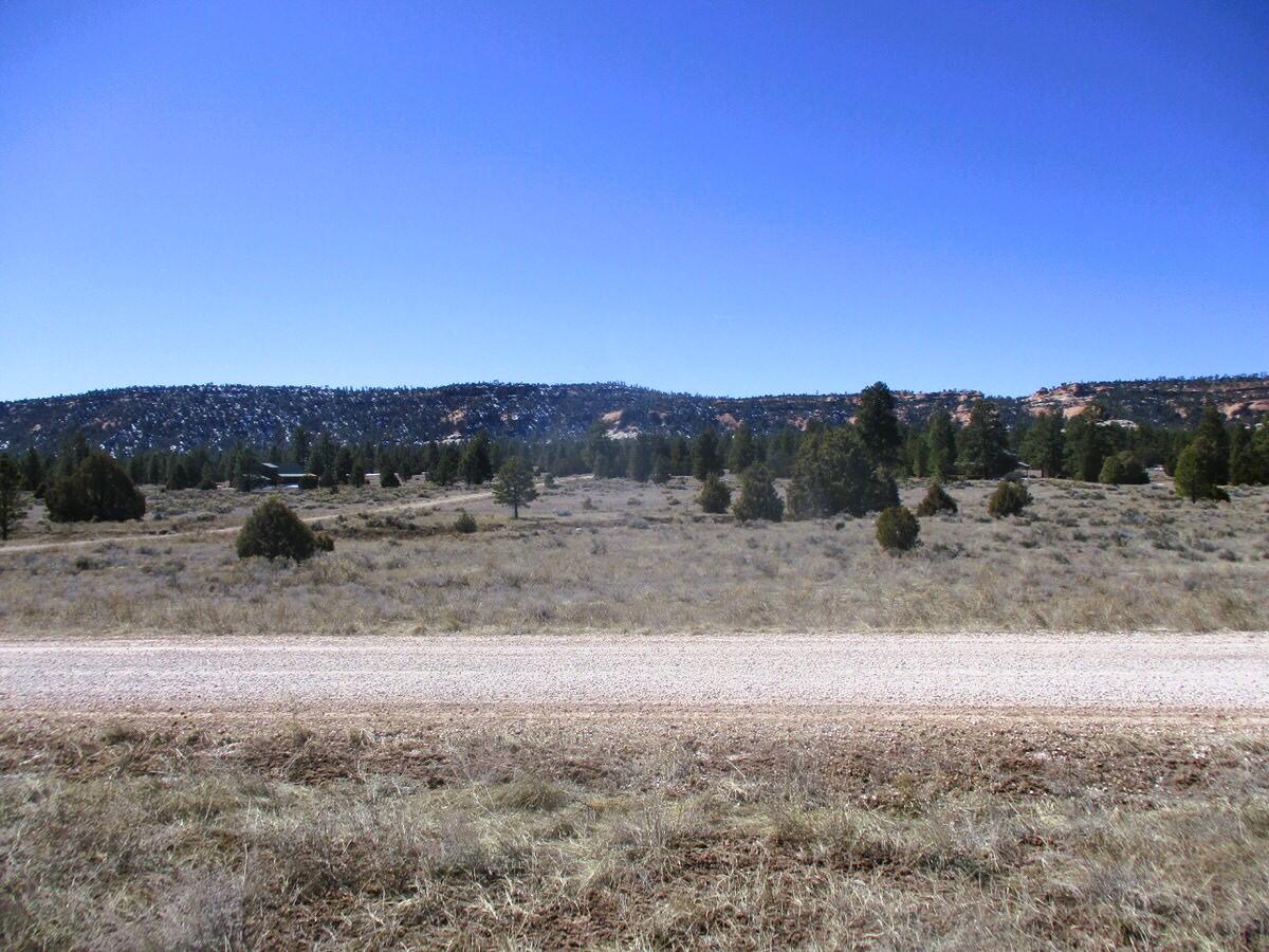 Lot 10 Sagebrush Road, Ramah, New Mexico image 6