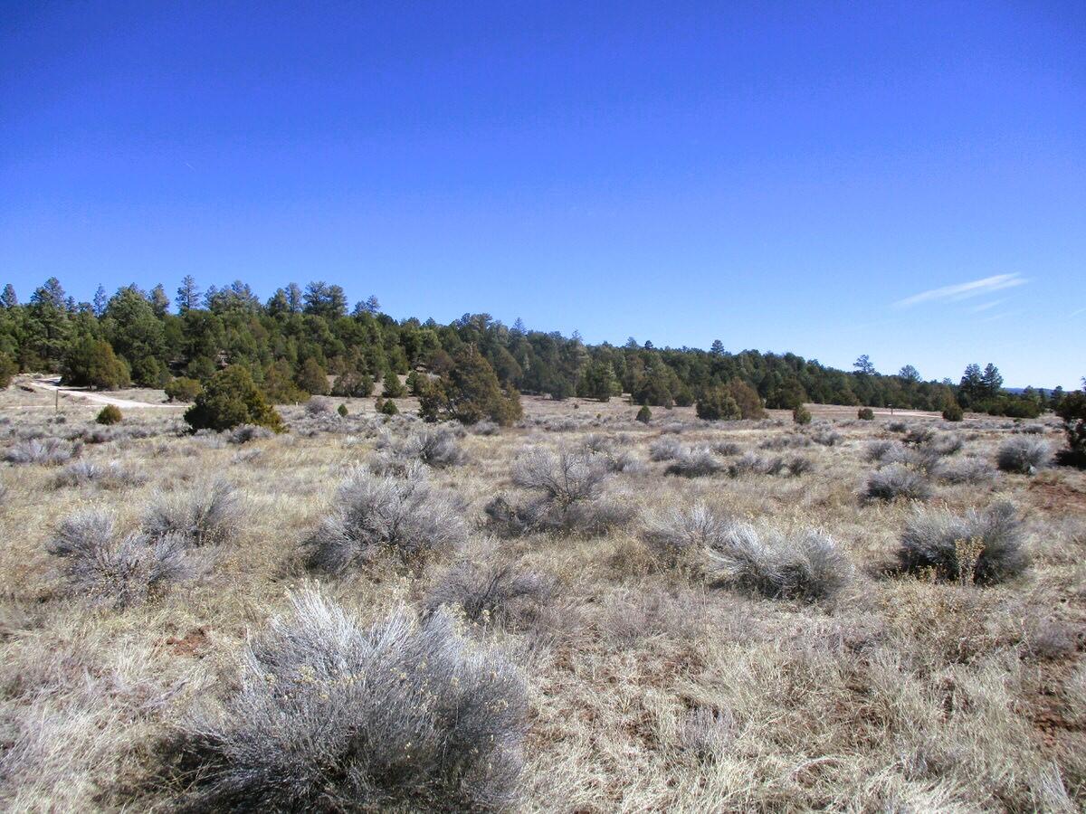 Lot 10 Sagebrush Road, Ramah, New Mexico image 42