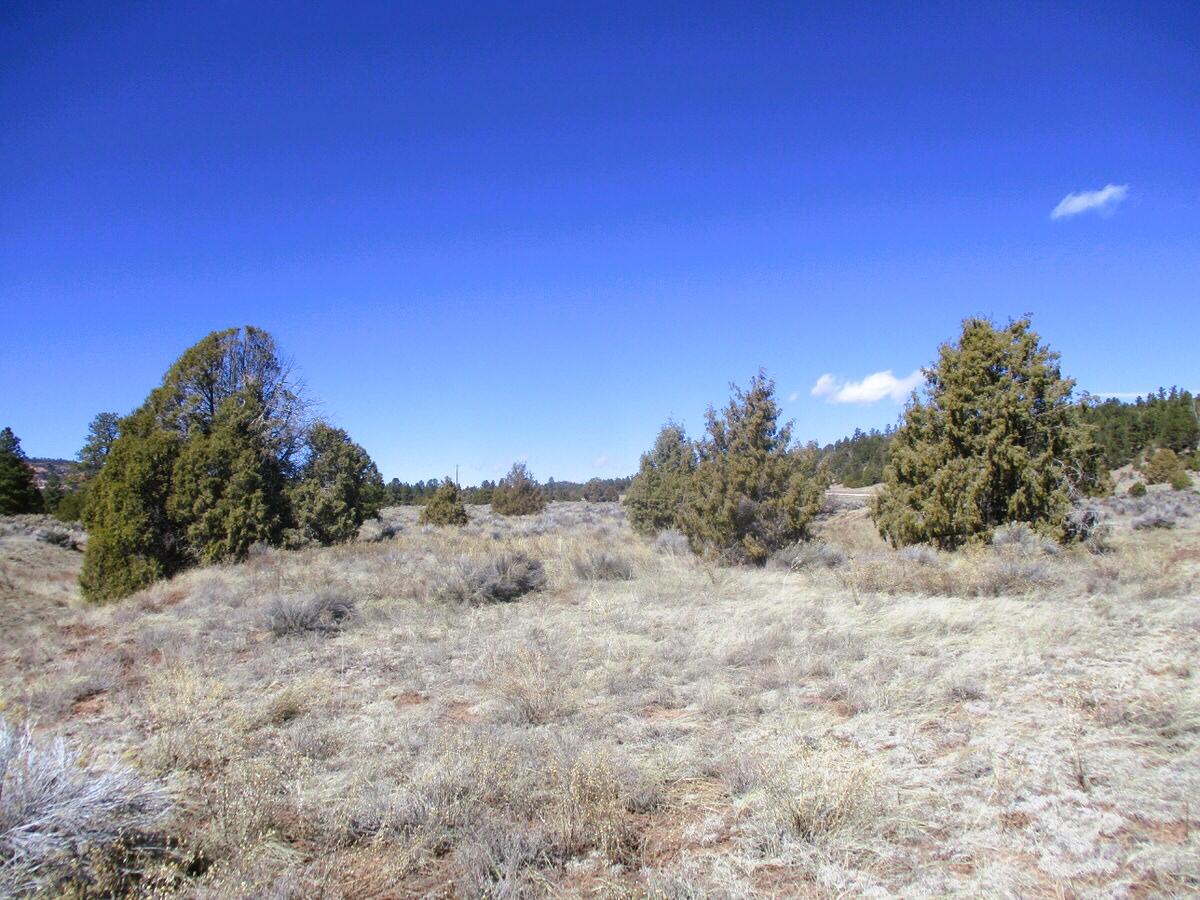 Lot 10 Sagebrush Road, Ramah, New Mexico image 49