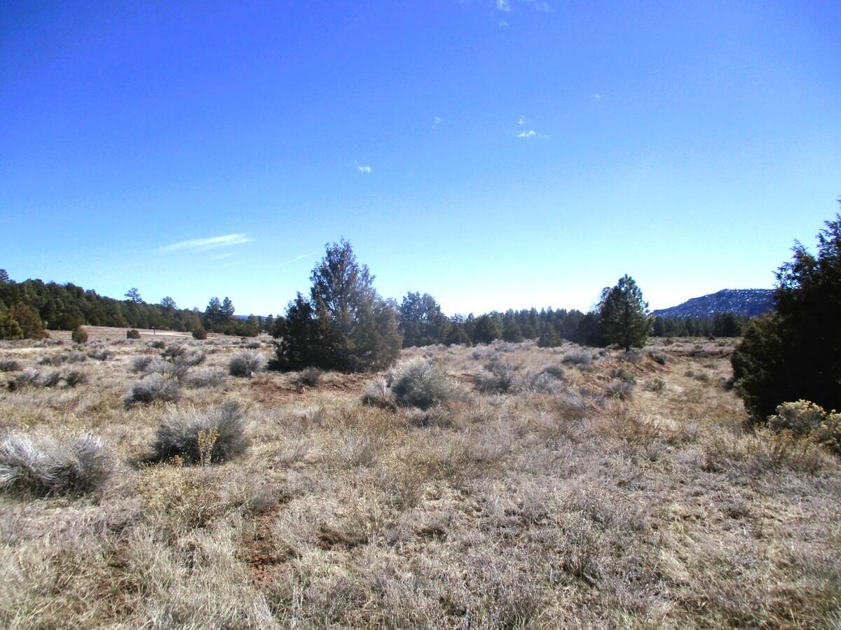 Lot 10 Sagebrush Road, Ramah, New Mexico image 43