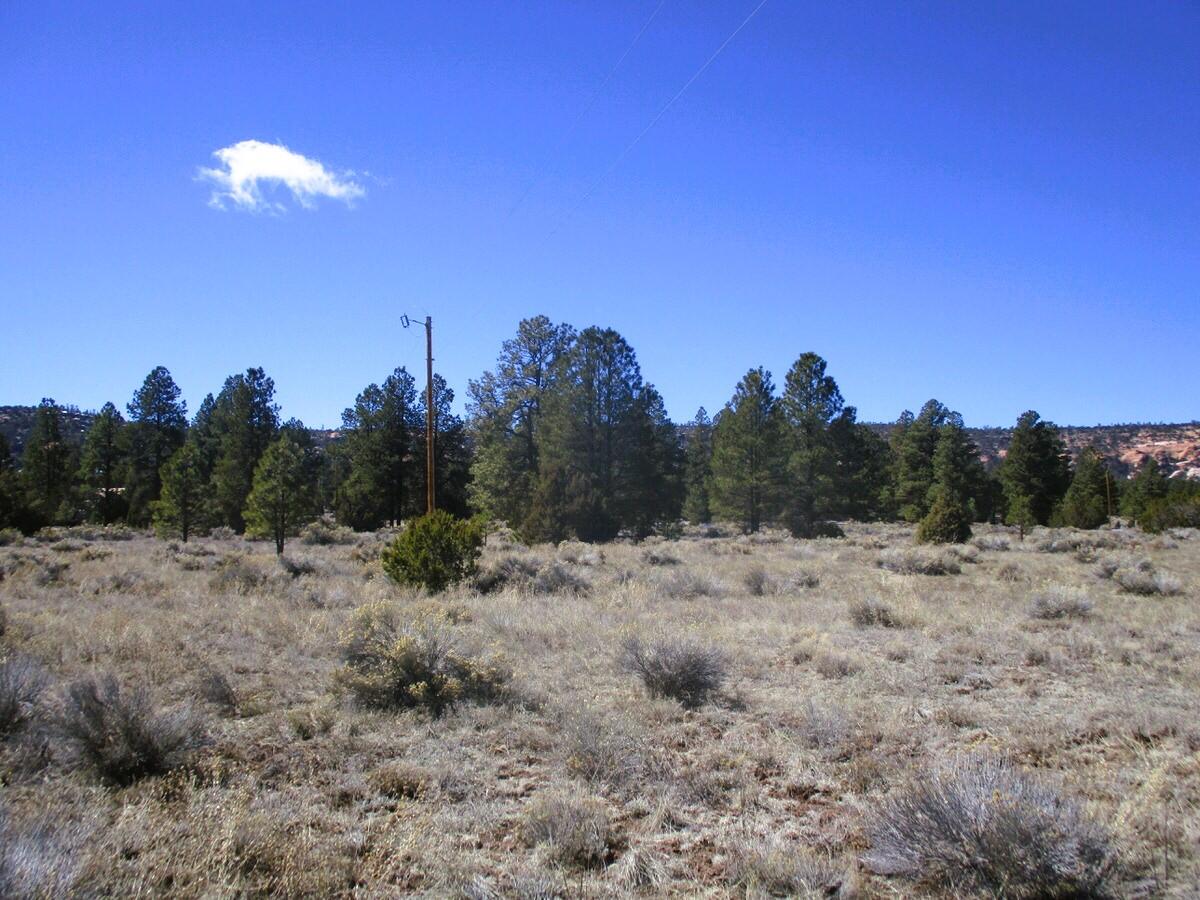 Lot 10 Sagebrush Road, Ramah, New Mexico image 30