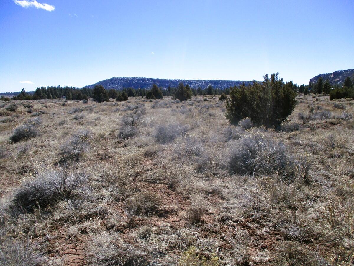 Lot 10 Sagebrush Road, Ramah, New Mexico image 28