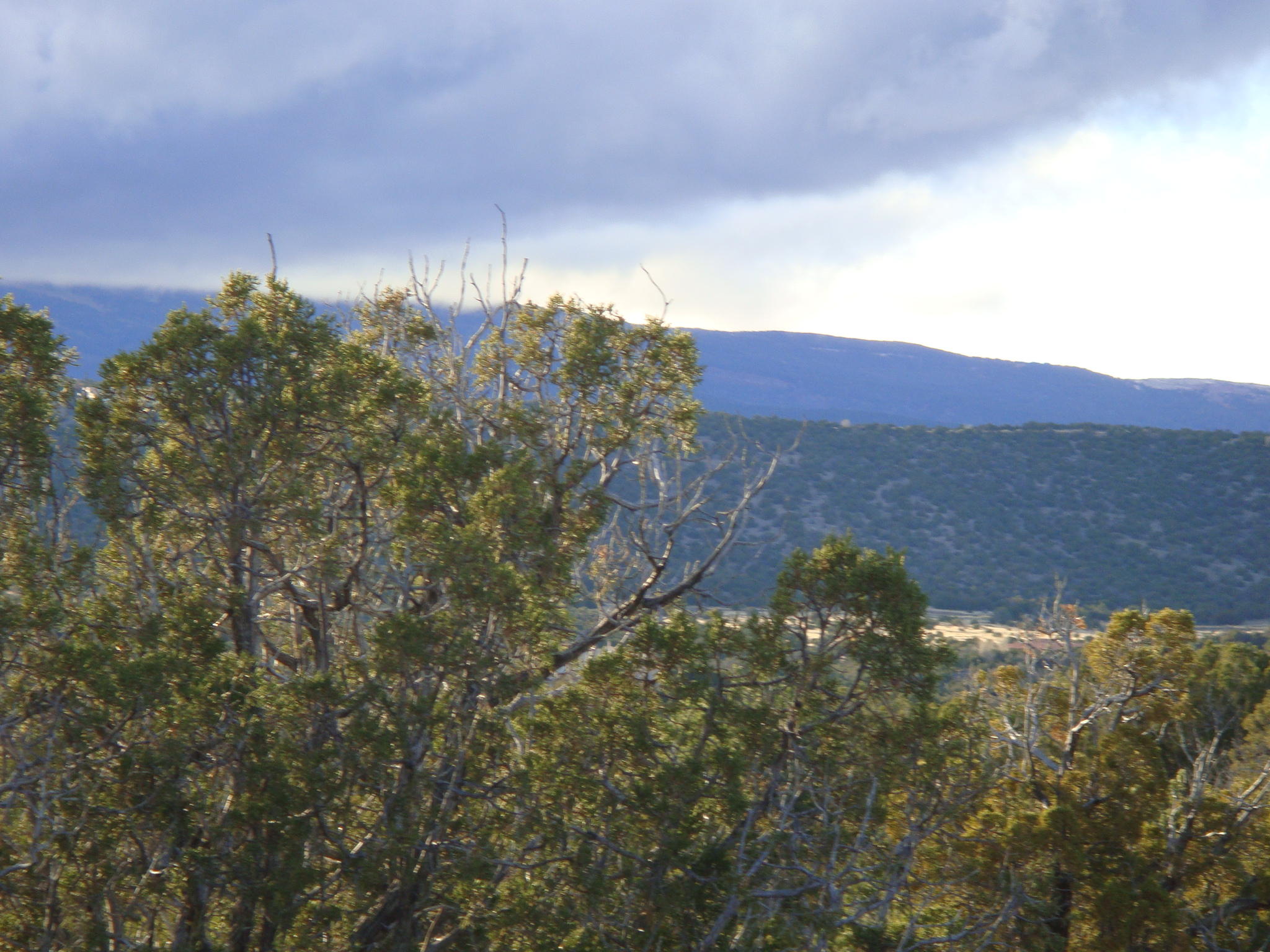 24 Stagecoach Trail, Sandia Park, New Mexico image 12