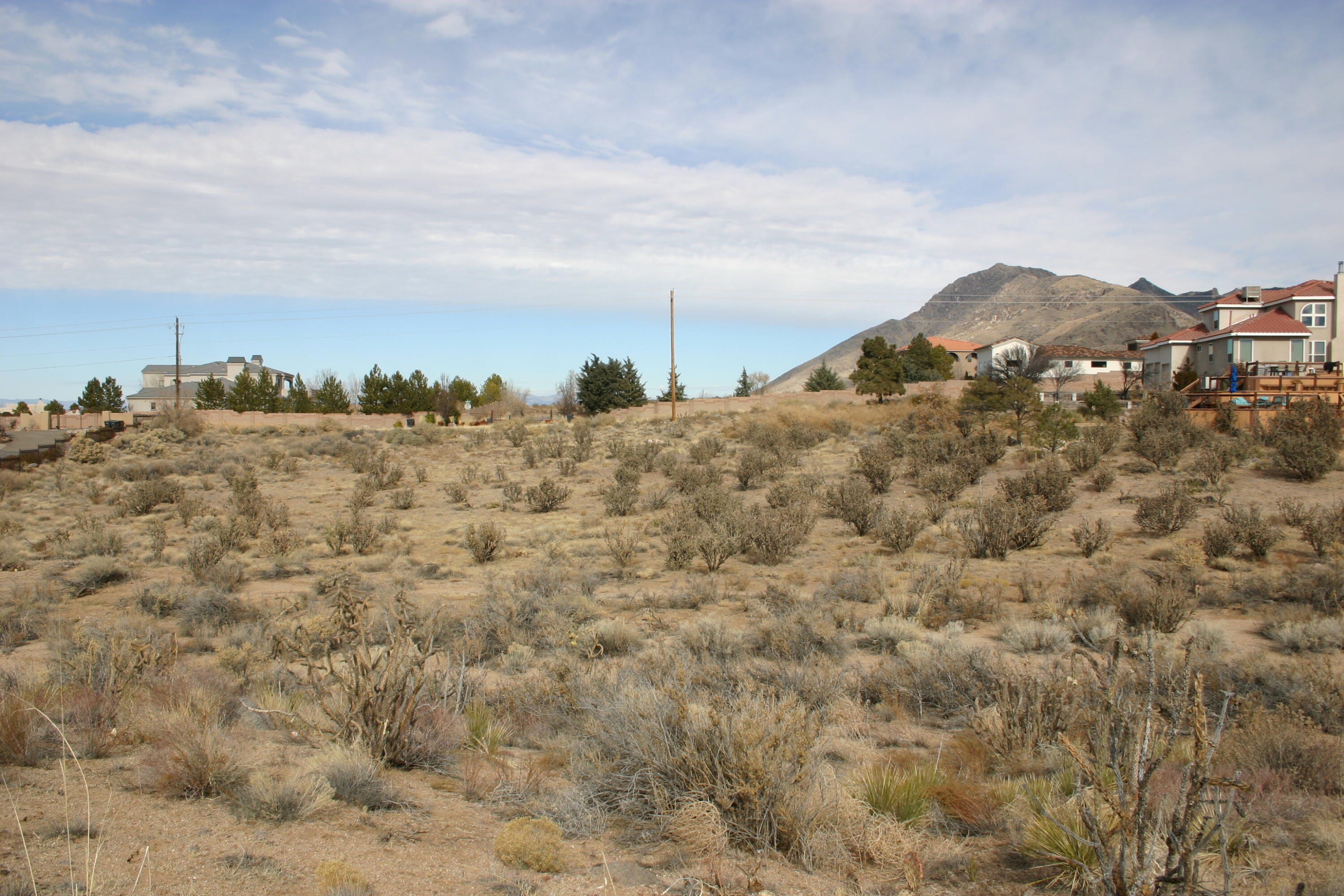 10650 Elena Avenue, Albuquerque, New Mexico image 11