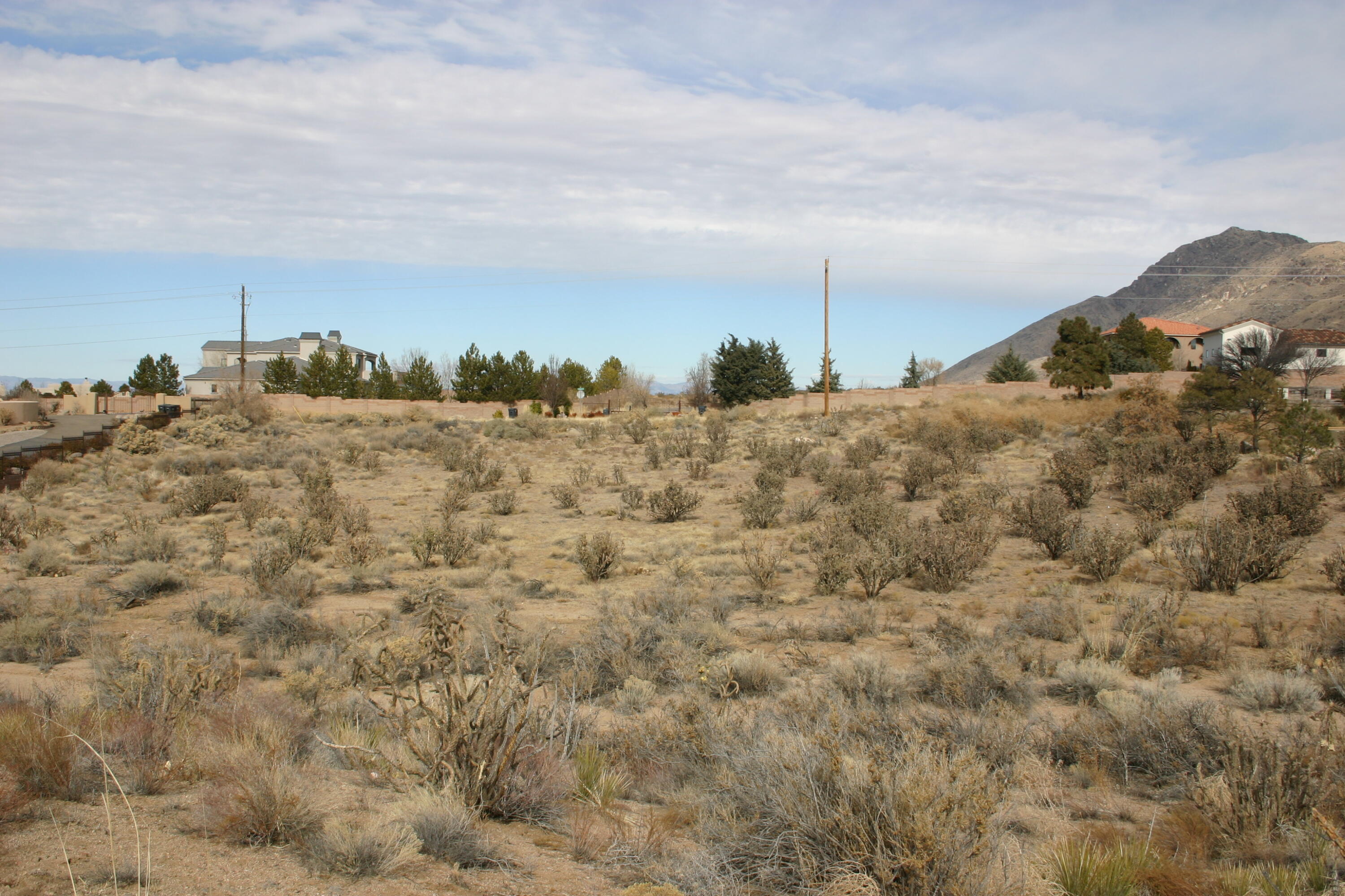 10650 Elena Avenue, Albuquerque, New Mexico image 13