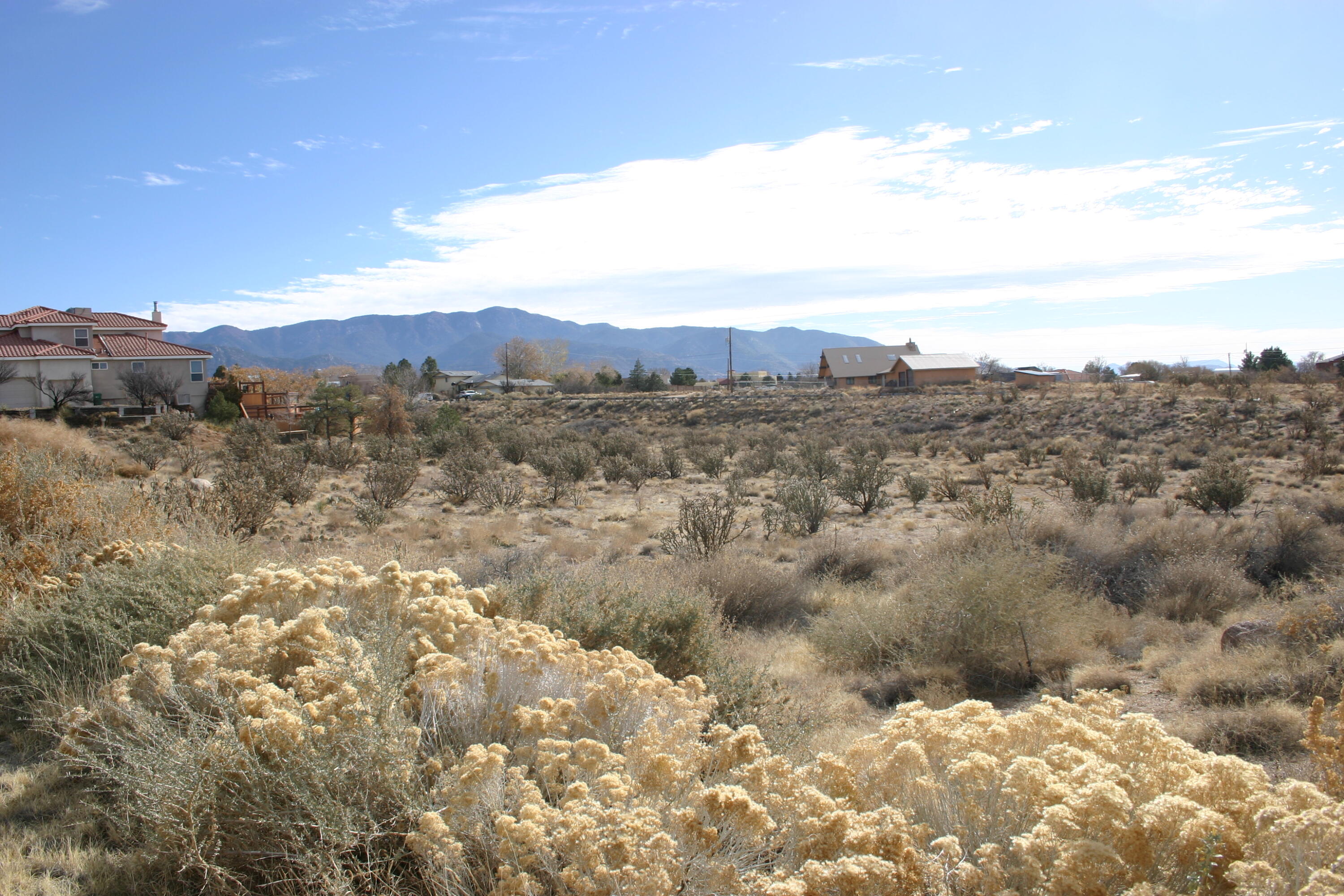 10650 Elena Avenue, Albuquerque, New Mexico image 3