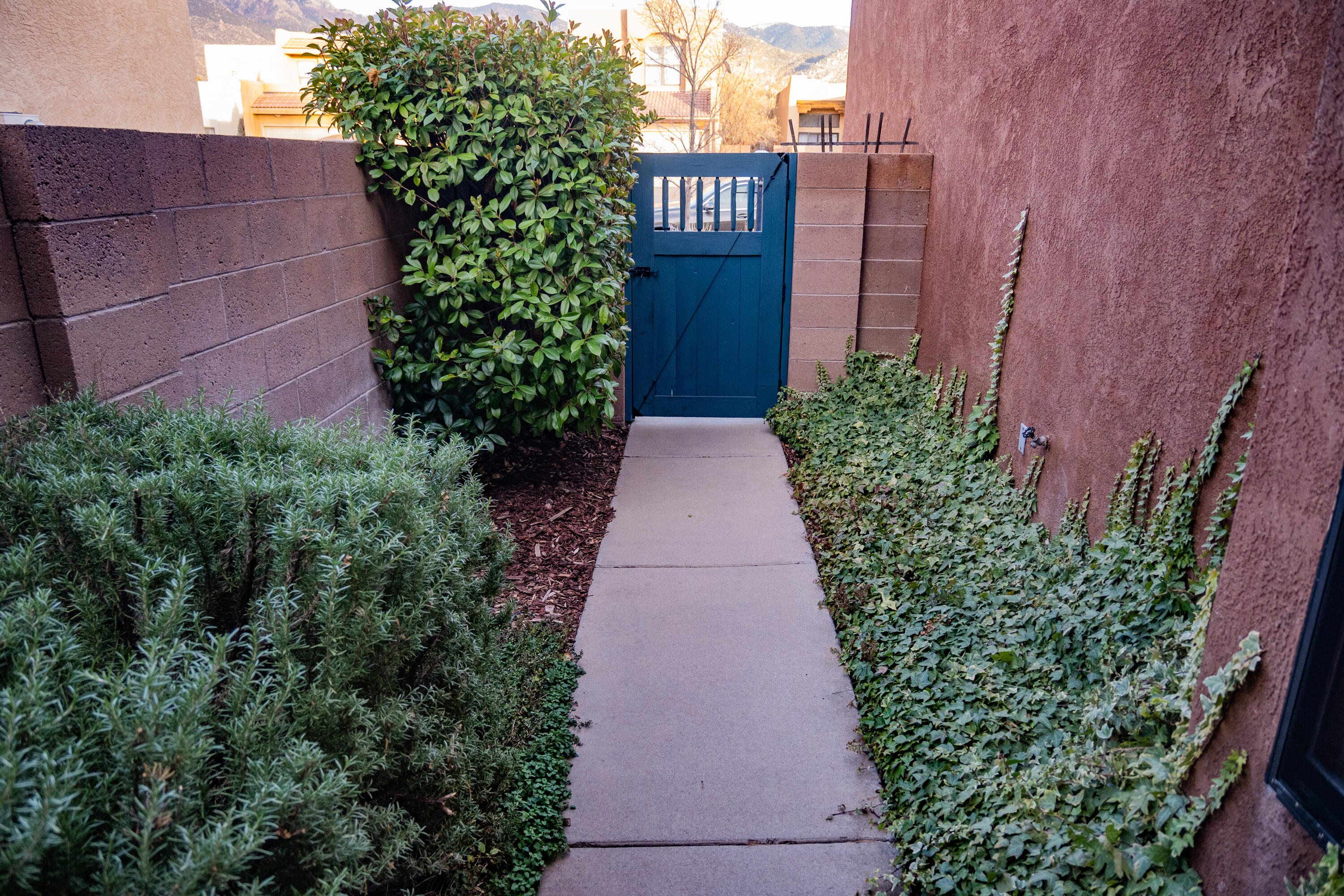 2153 Black Willow Drive, Albuquerque, New Mexico image 7