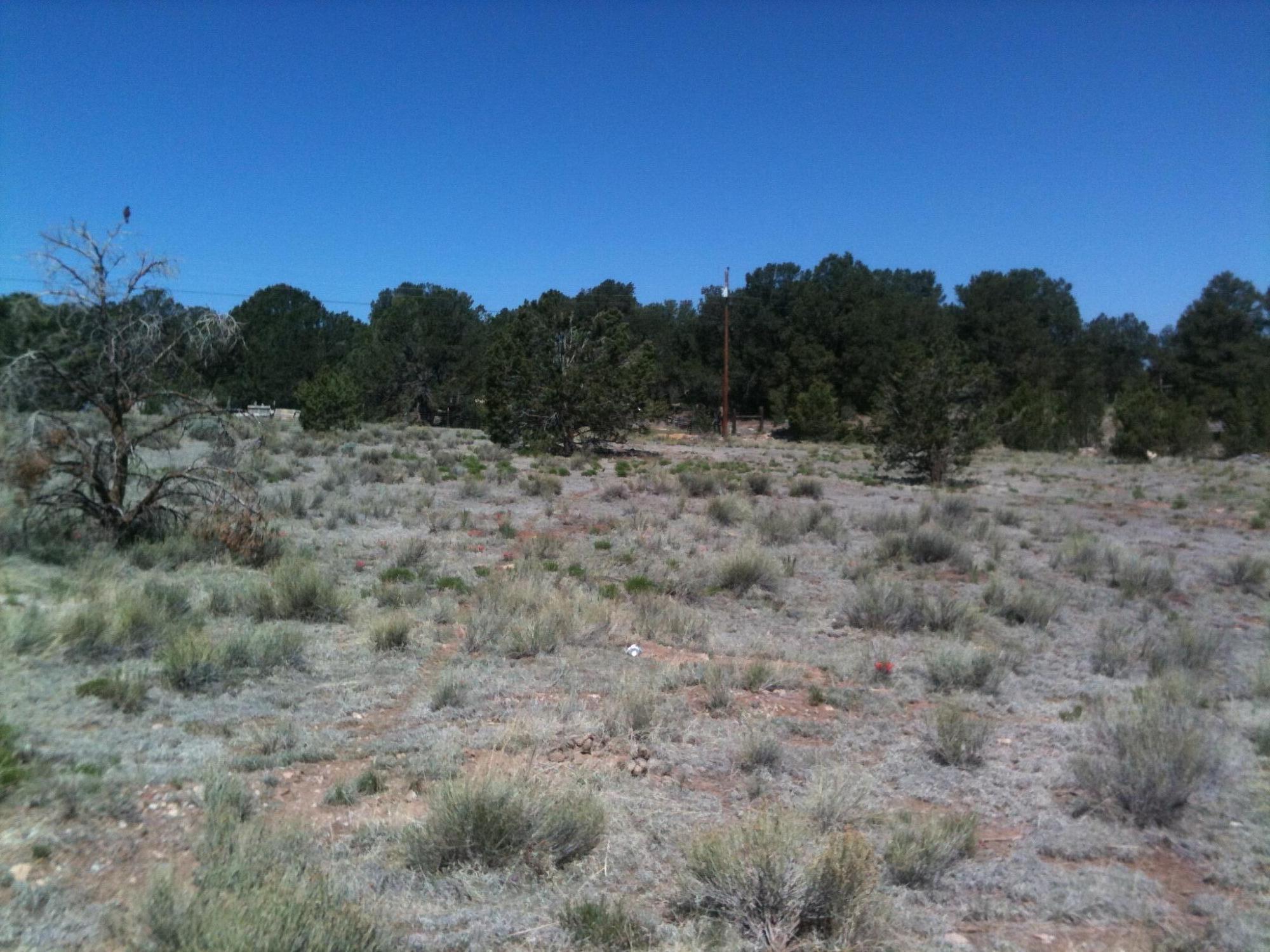 00 Nm Highway 612, Thoreau, New Mexico image 8