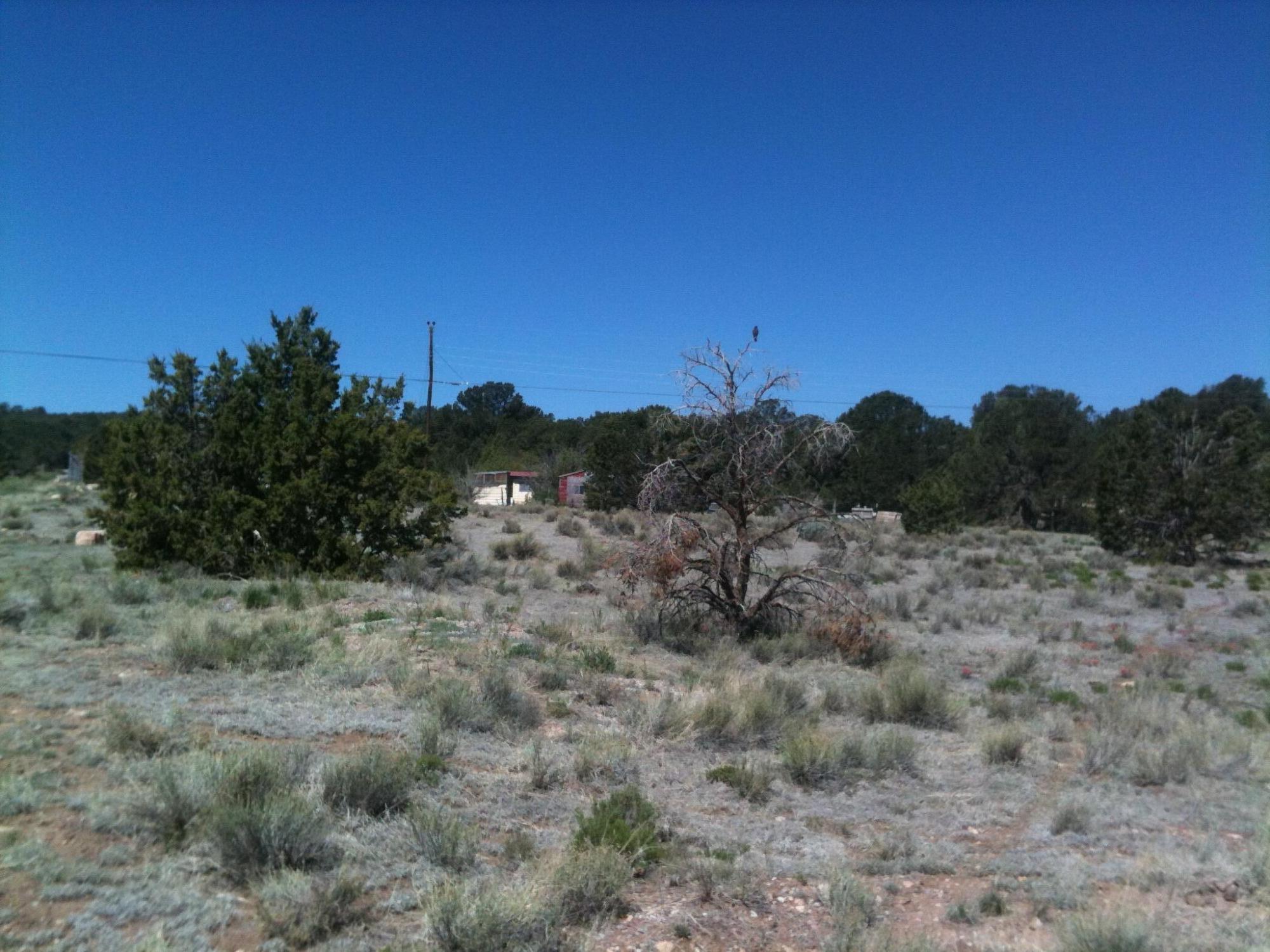 00 Nm Highway 612, Thoreau, New Mexico image 7
