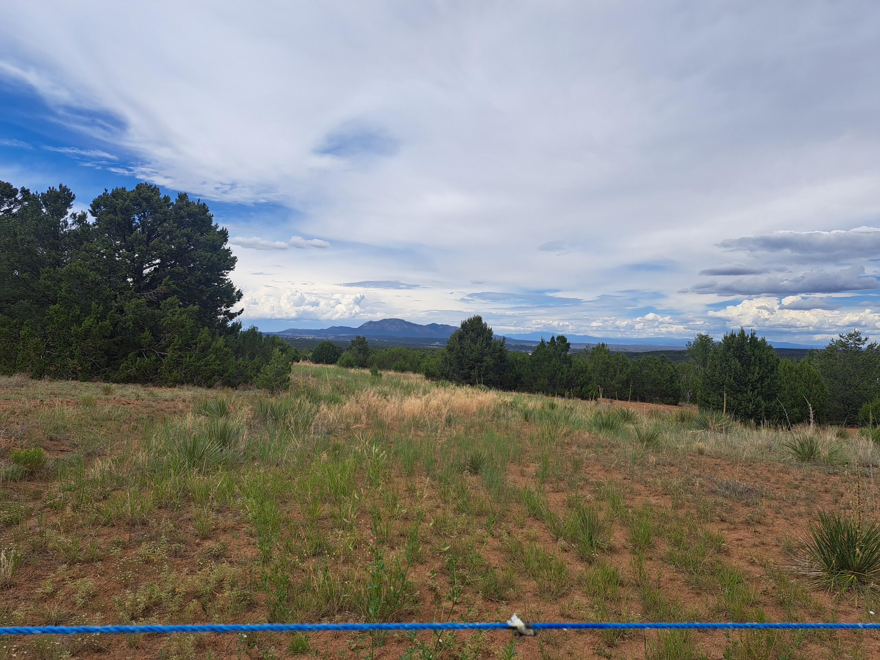 595 Juan Tomas Road, Tijeras, New Mexico image 1