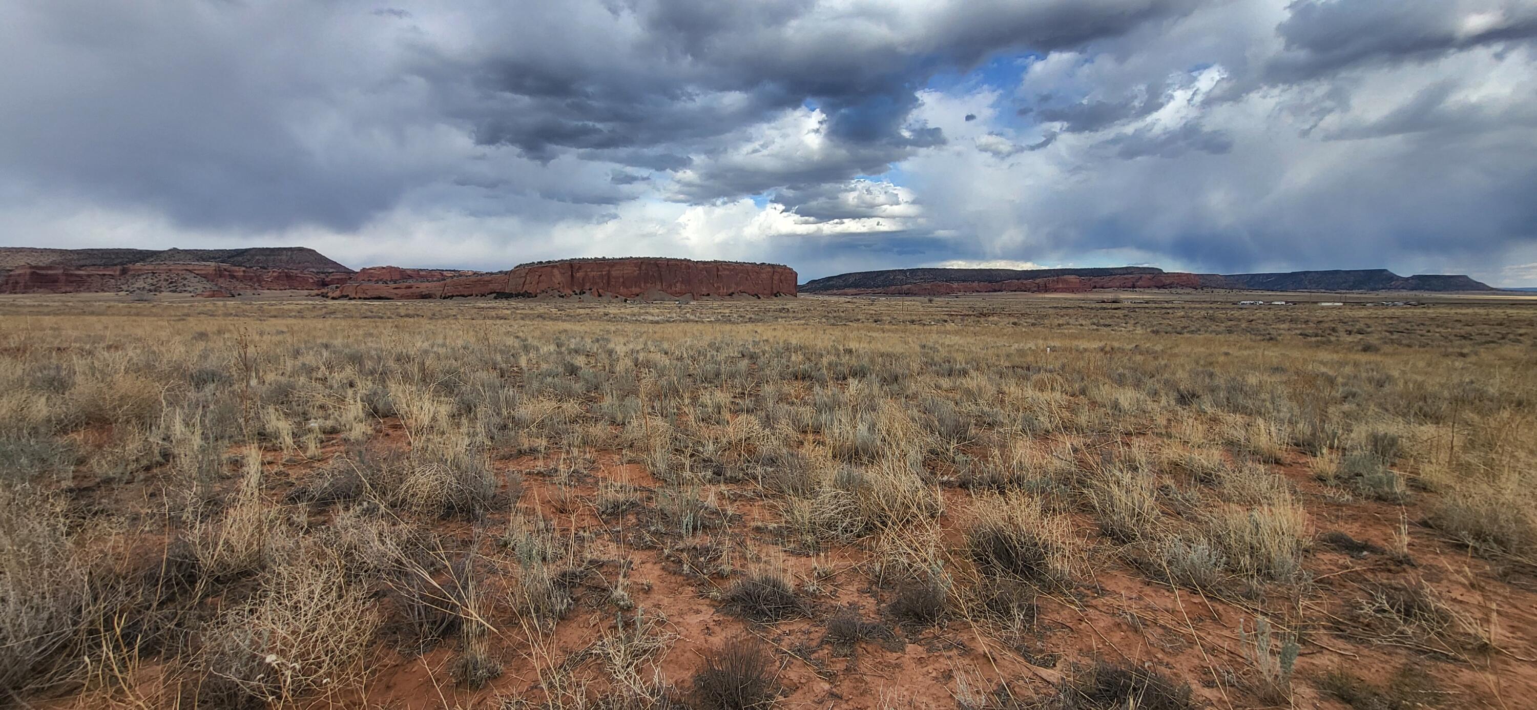 Tbd County Rd. 19, Prewitt, New Mexico image 5