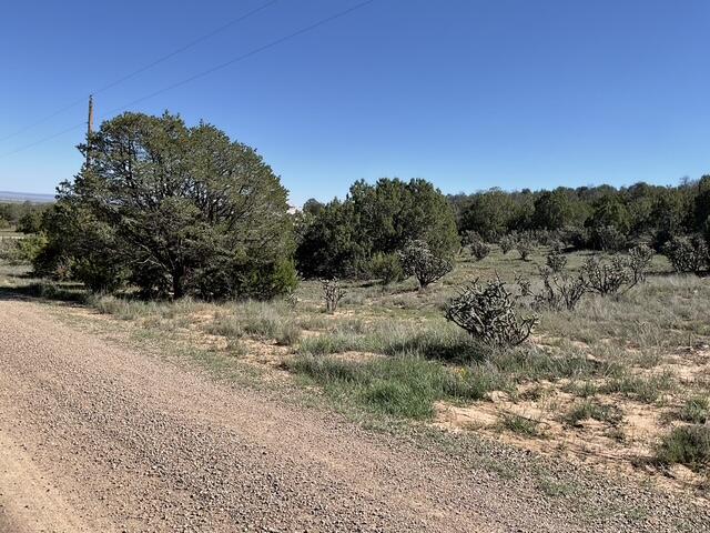 65 Las Colinas Road