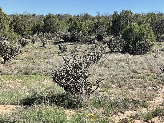 65 LAS COLINAS RD, EDGEWOOD, NM 87015 - Image 30fd2c8da6f0d5ddaf851405fb6a6ad3/2249024922