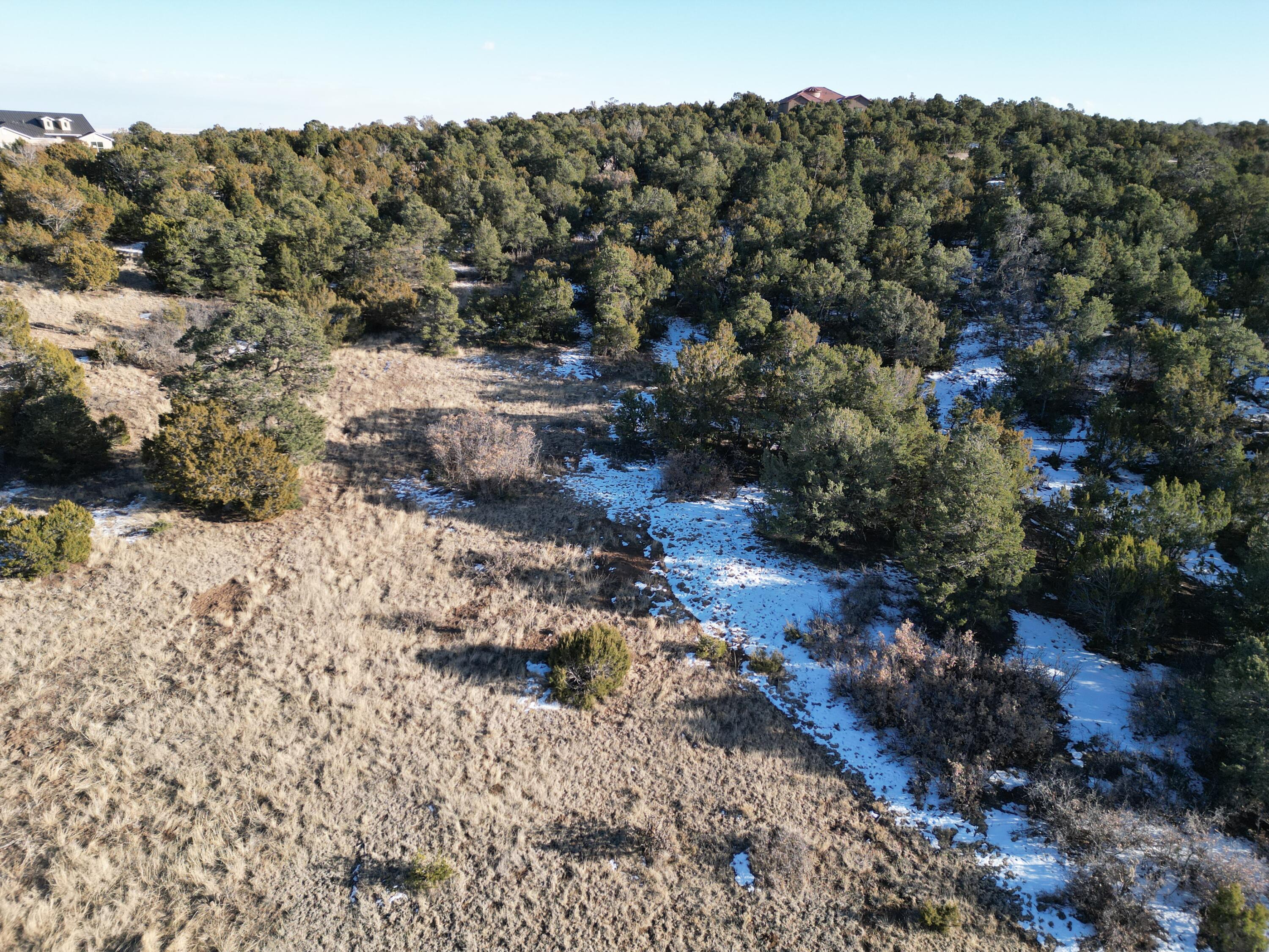 31 Punch Court, Tijeras, New Mexico image 6