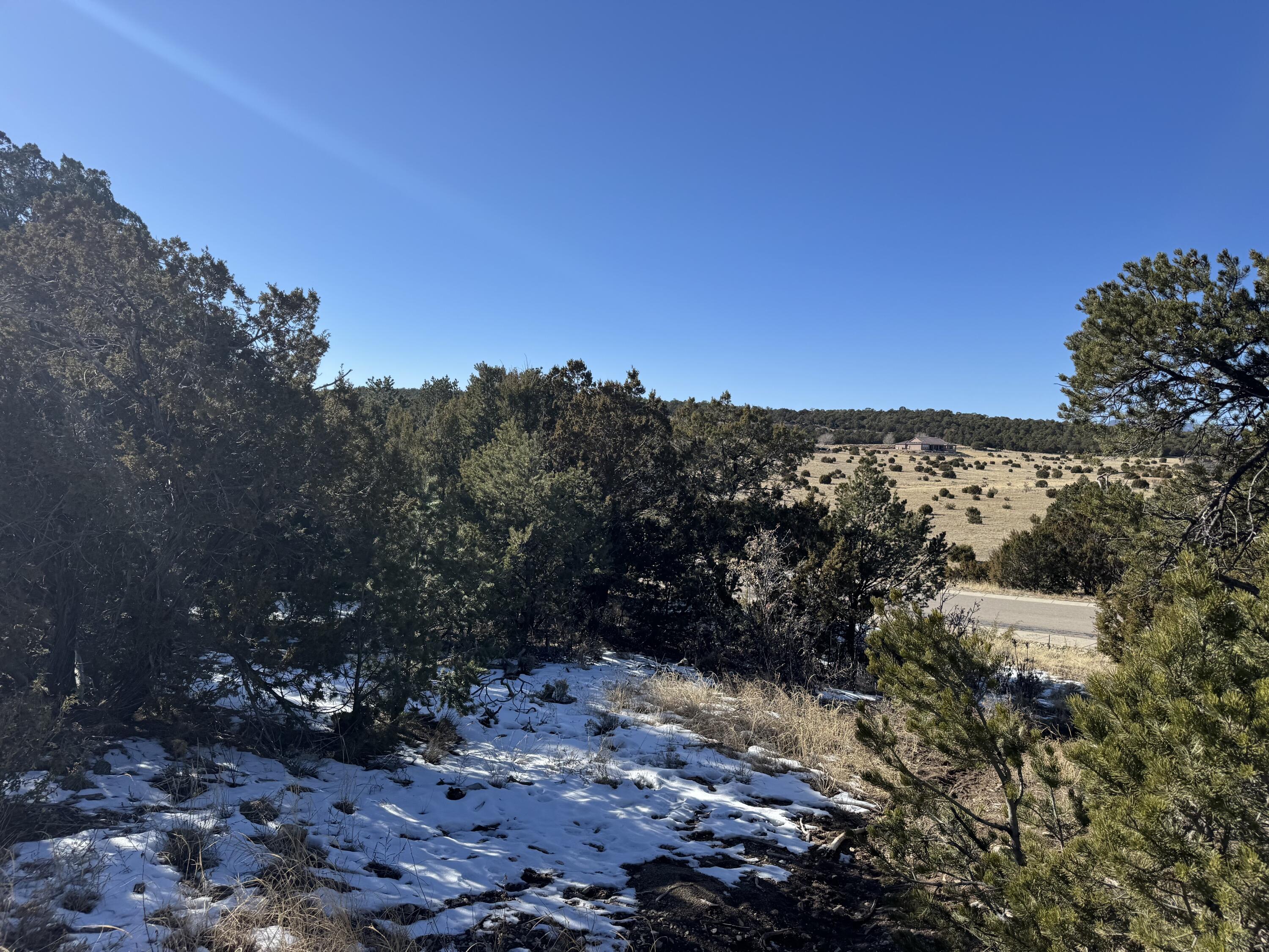 31 Punch Court, Tijeras, New Mexico image 10