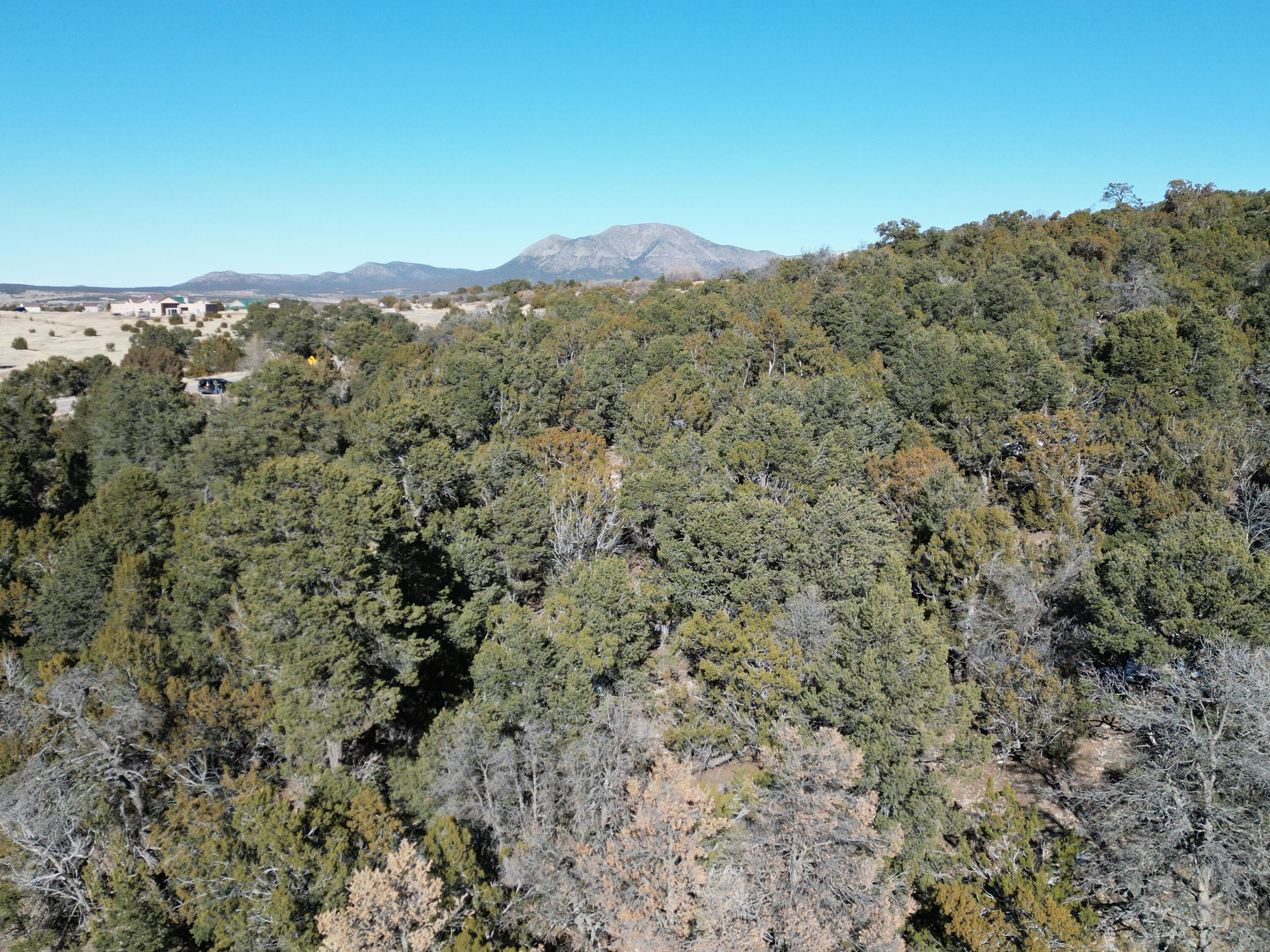 31 Punch Court, Tijeras, New Mexico image 3