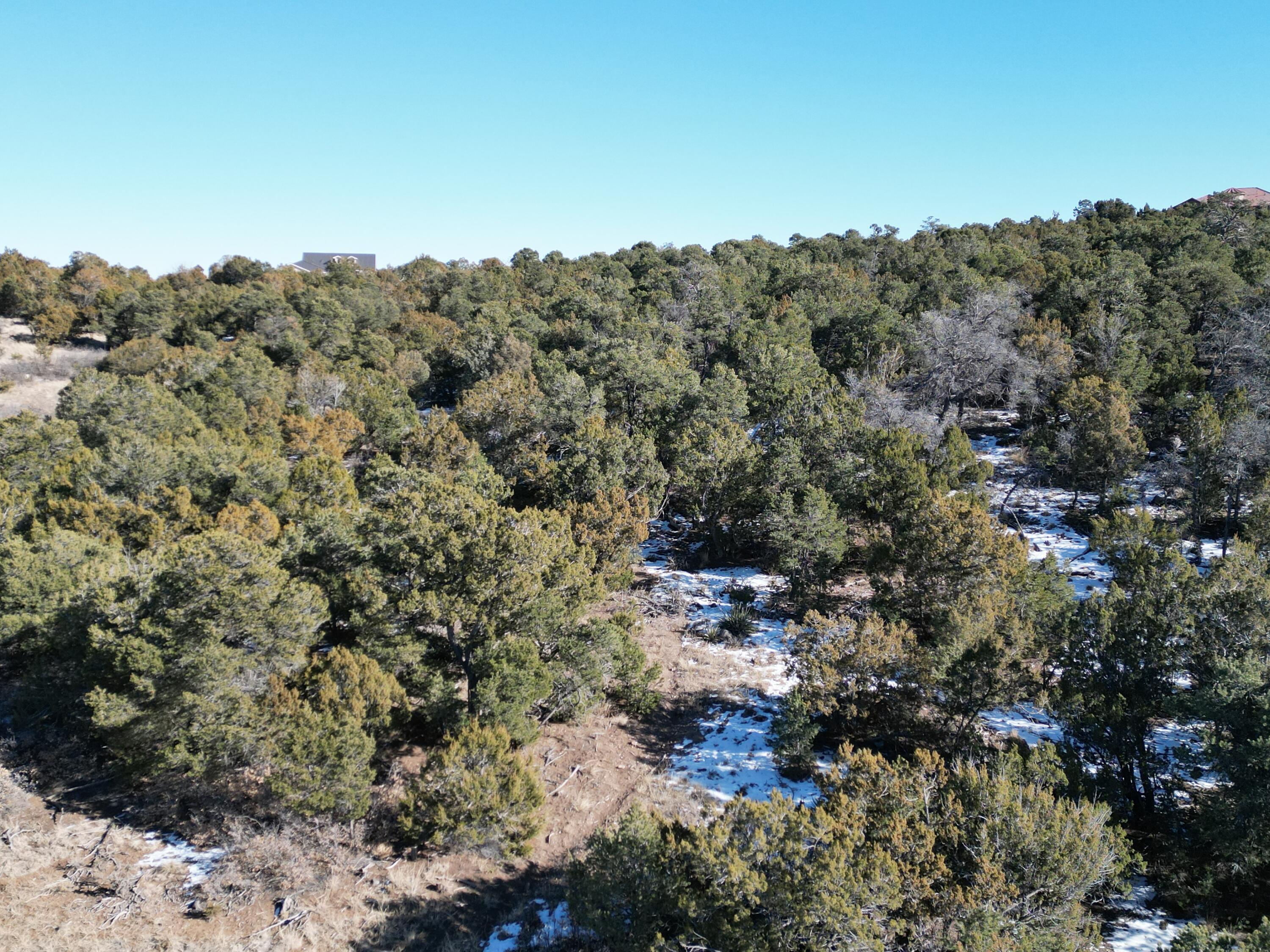 31 Punch Court, Tijeras, New Mexico image 1