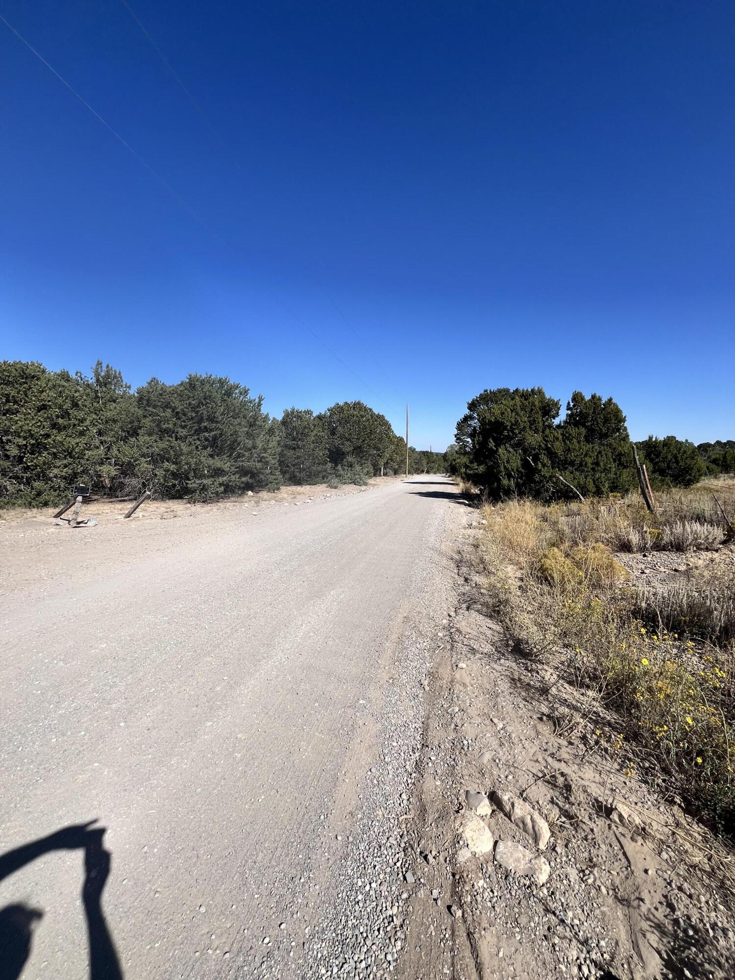 9 Camino Flora, Tijeras, New Mexico image 3