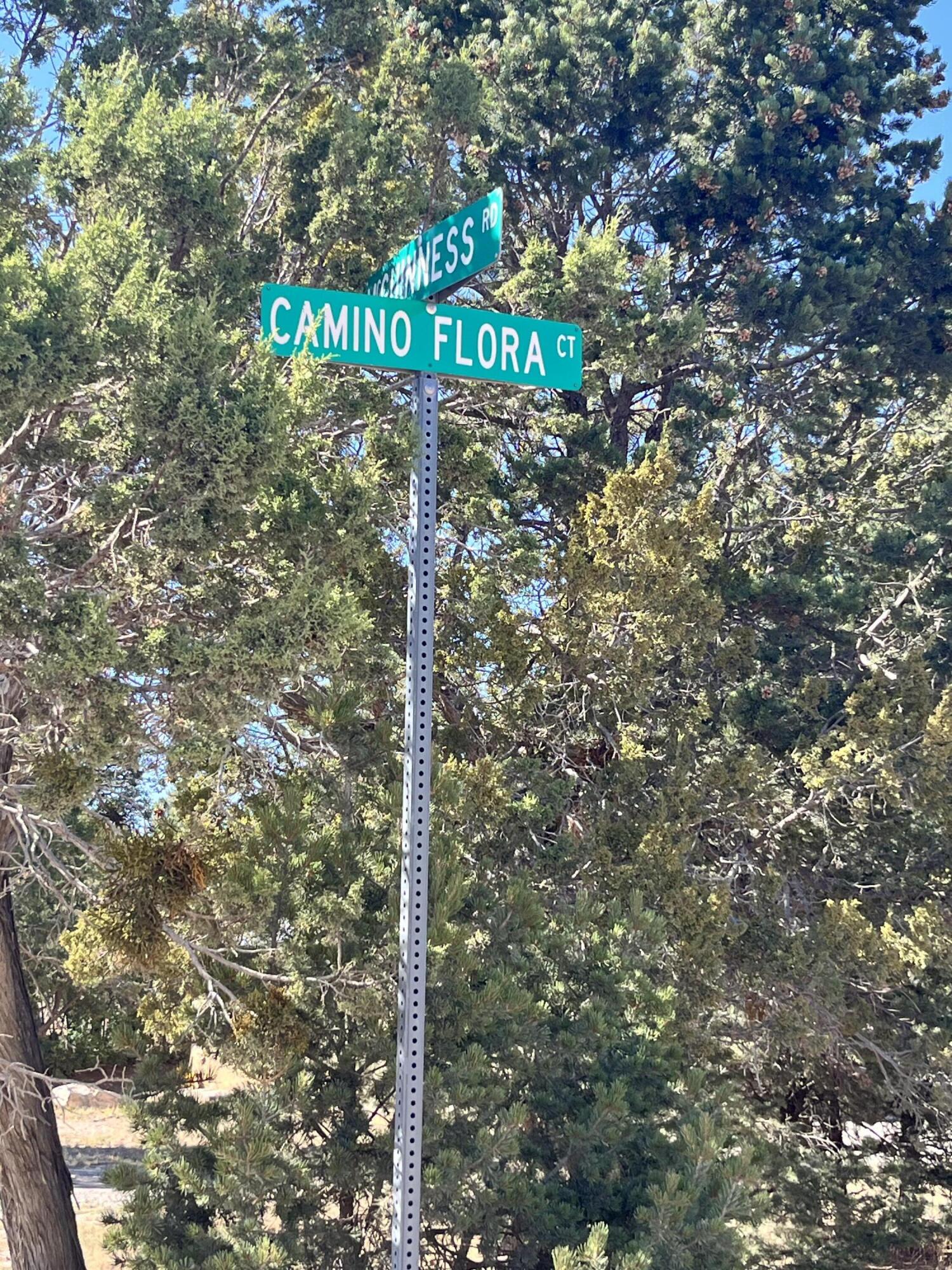 9 Camino Flora, Tijeras, New Mexico image 2
