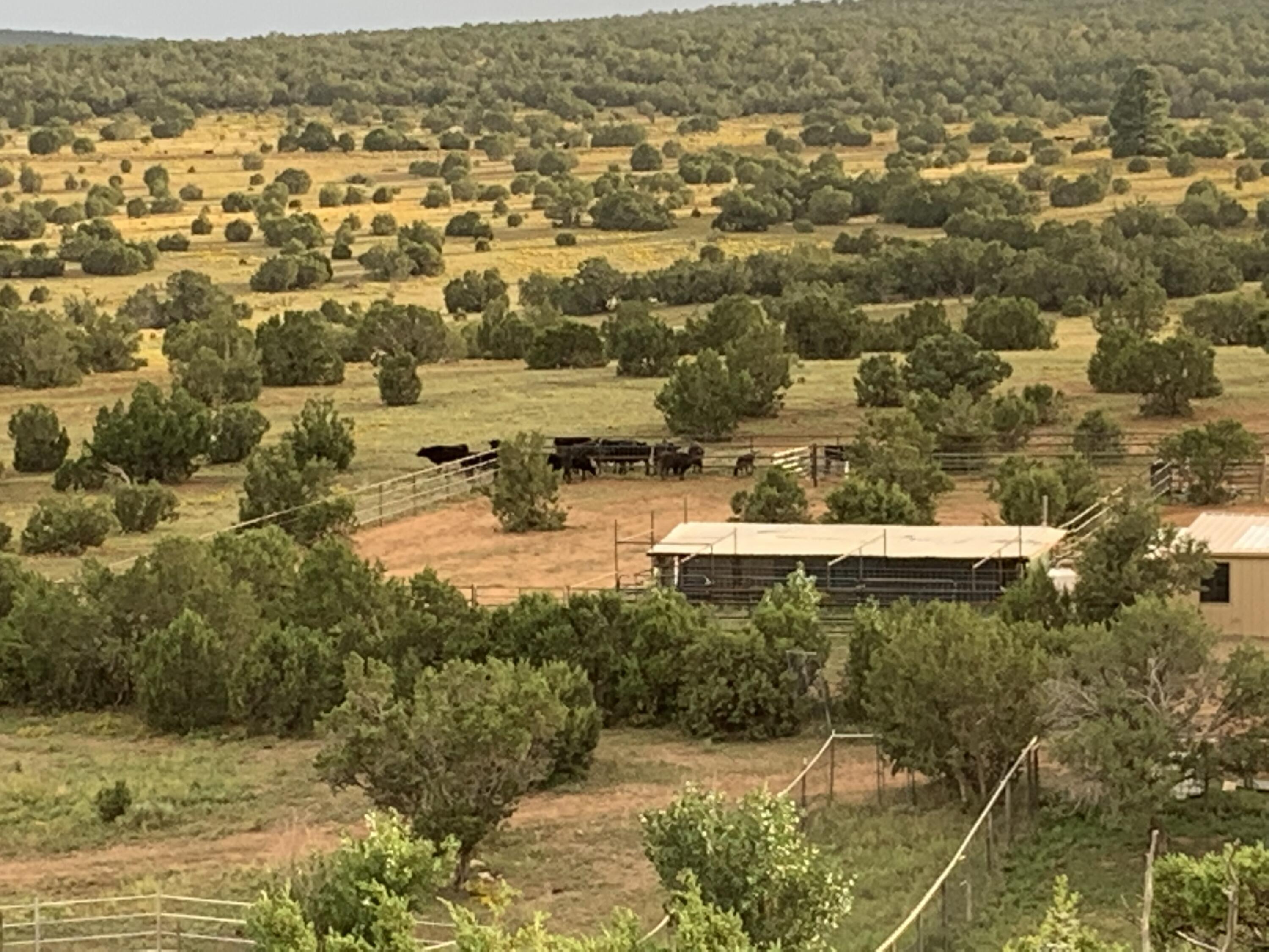117 Vista Montana Road, Estancia, New Mexico image 49