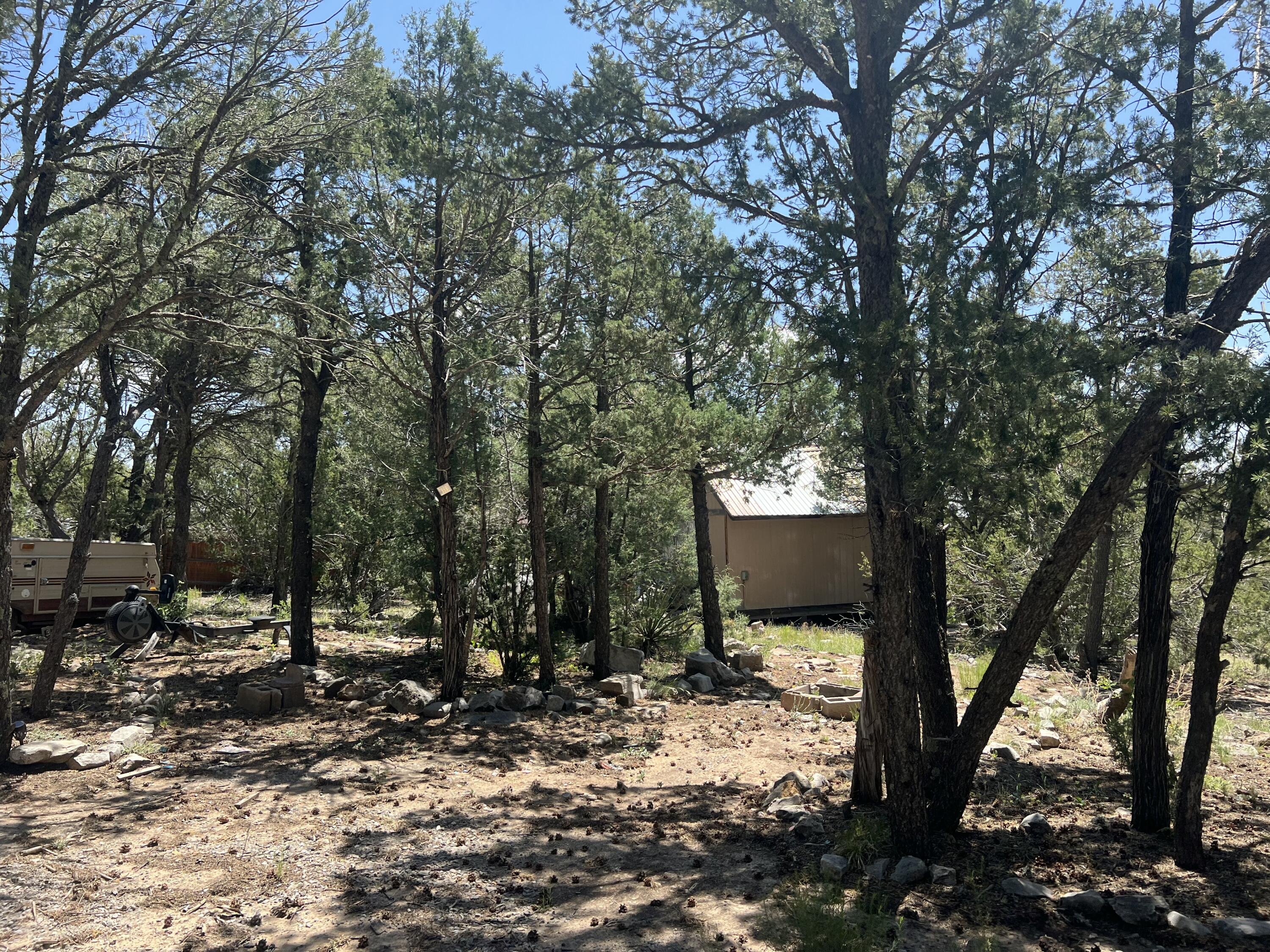 17 Michelle Court, Edgewood, New Mexico image 12