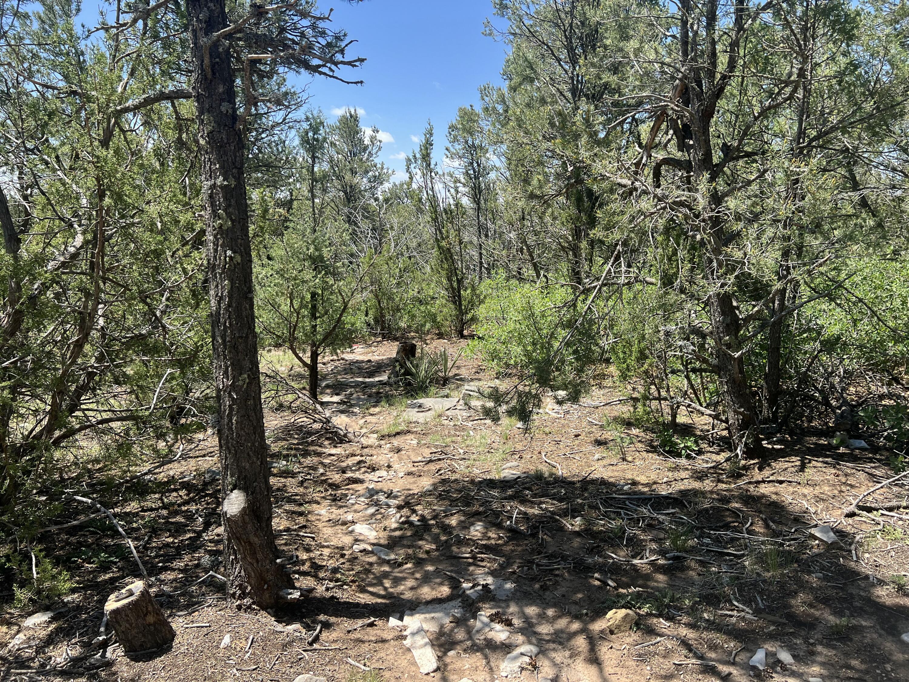 17 Michelle Court, Edgewood, New Mexico image 14