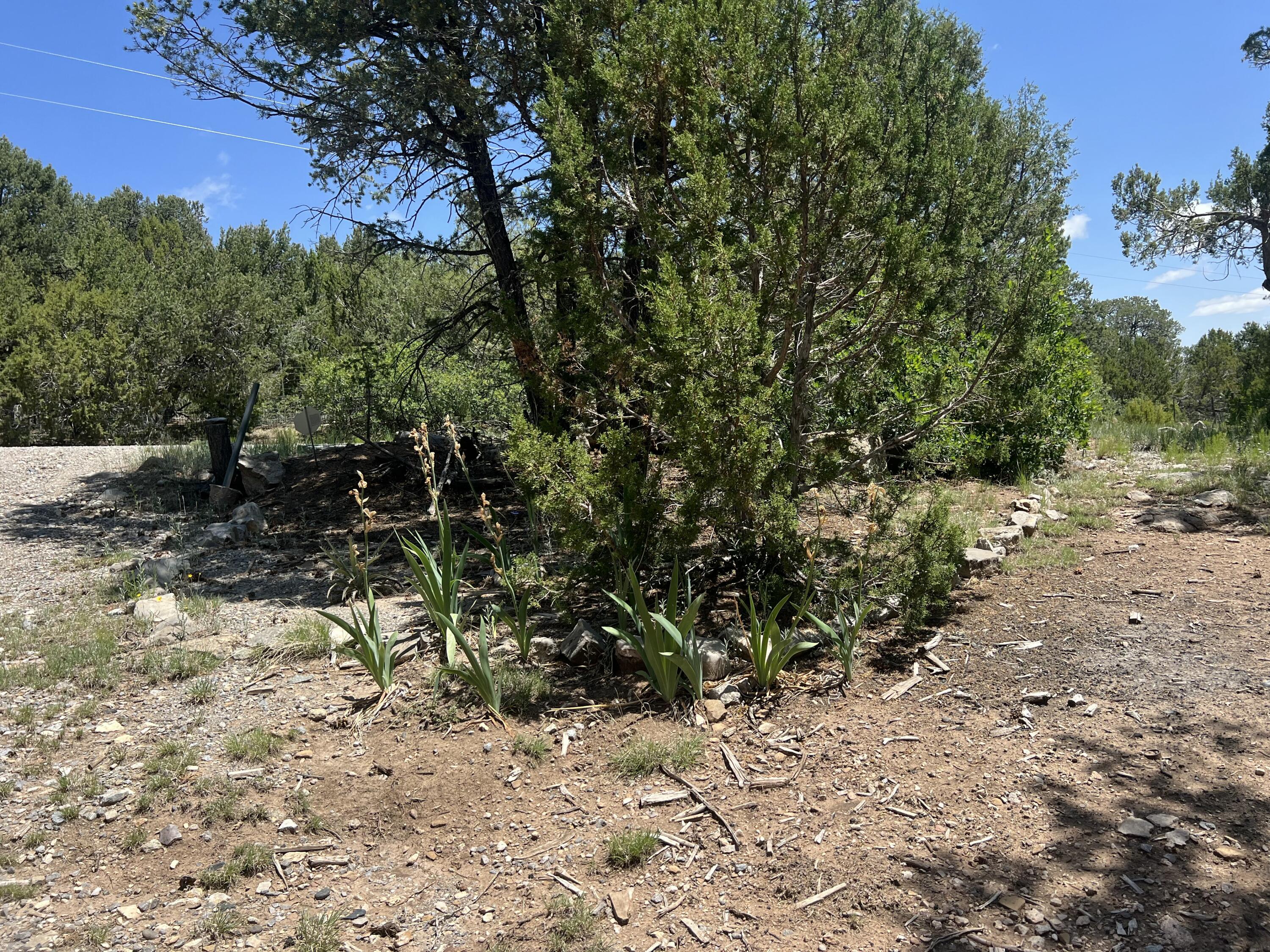 17 Michelle Court, Edgewood, New Mexico image 9