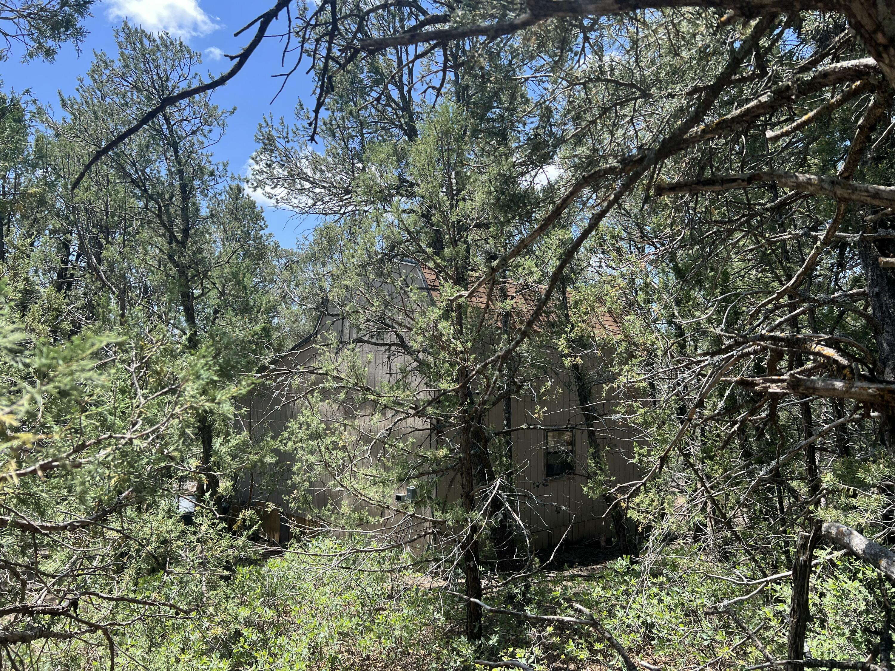 17 Michelle Court, Edgewood, New Mexico image 5
