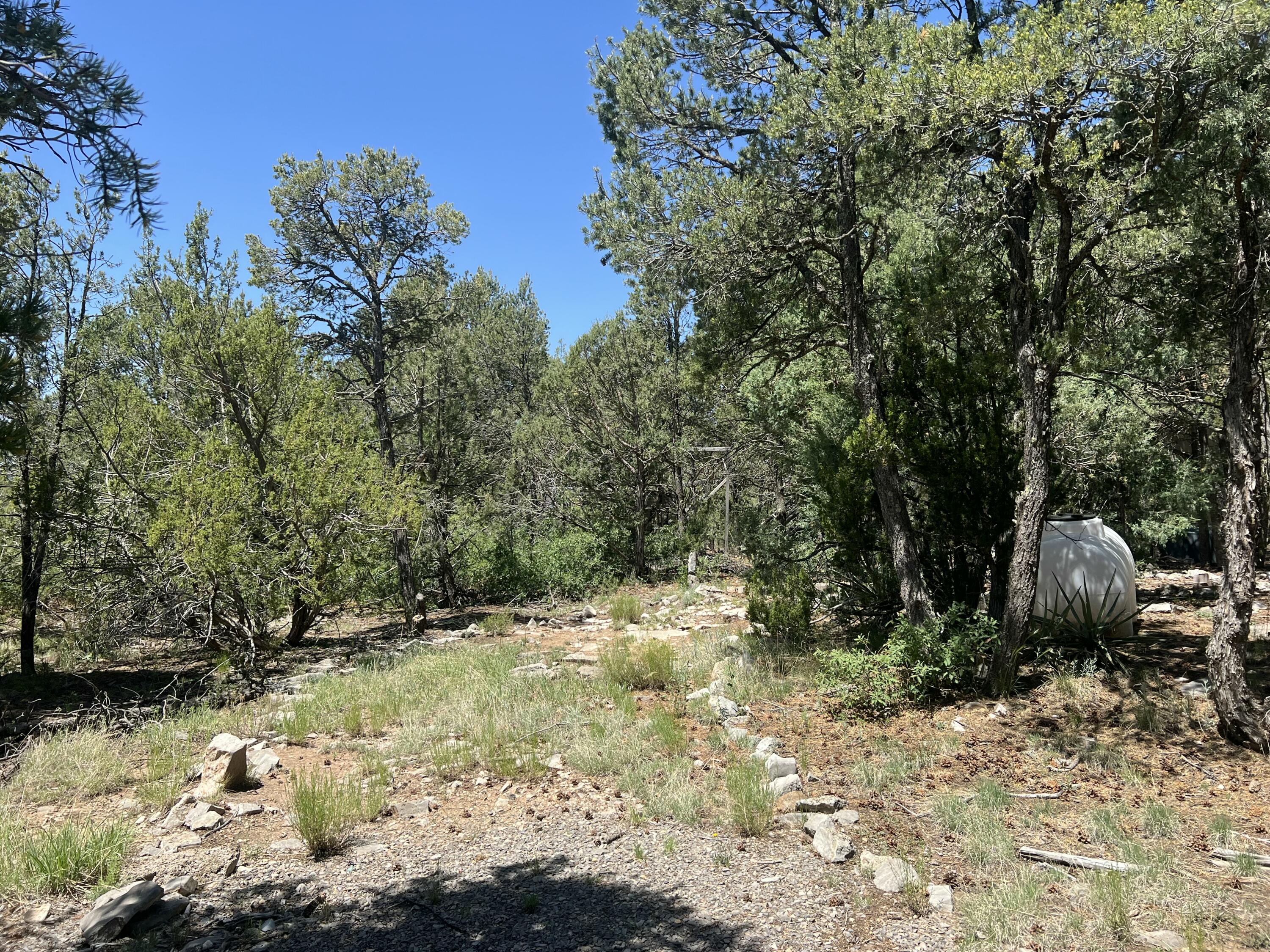 17 Michelle Court, Edgewood, New Mexico image 15