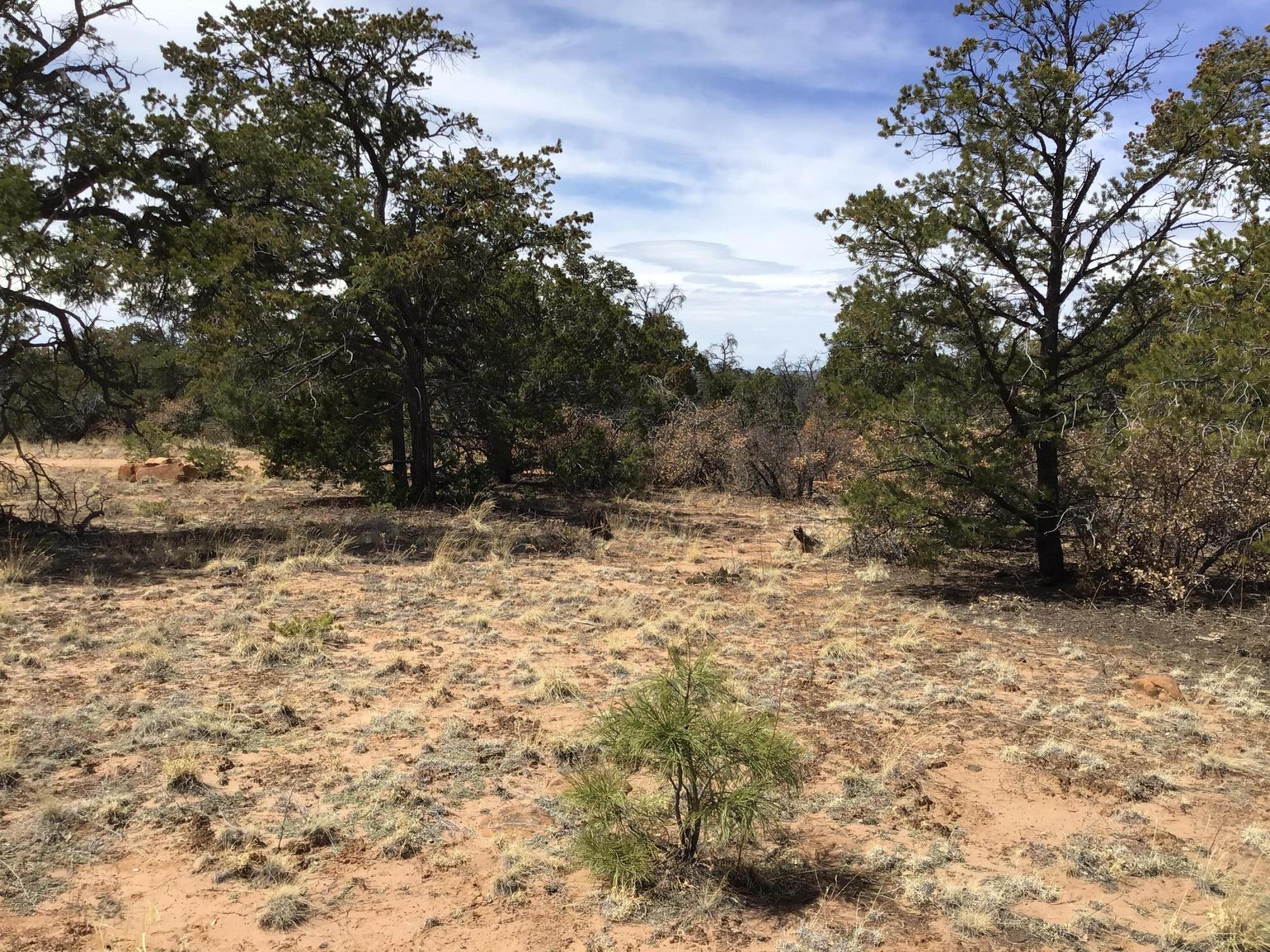 Lot 707 Che Loop, Ramah, New Mexico image 5