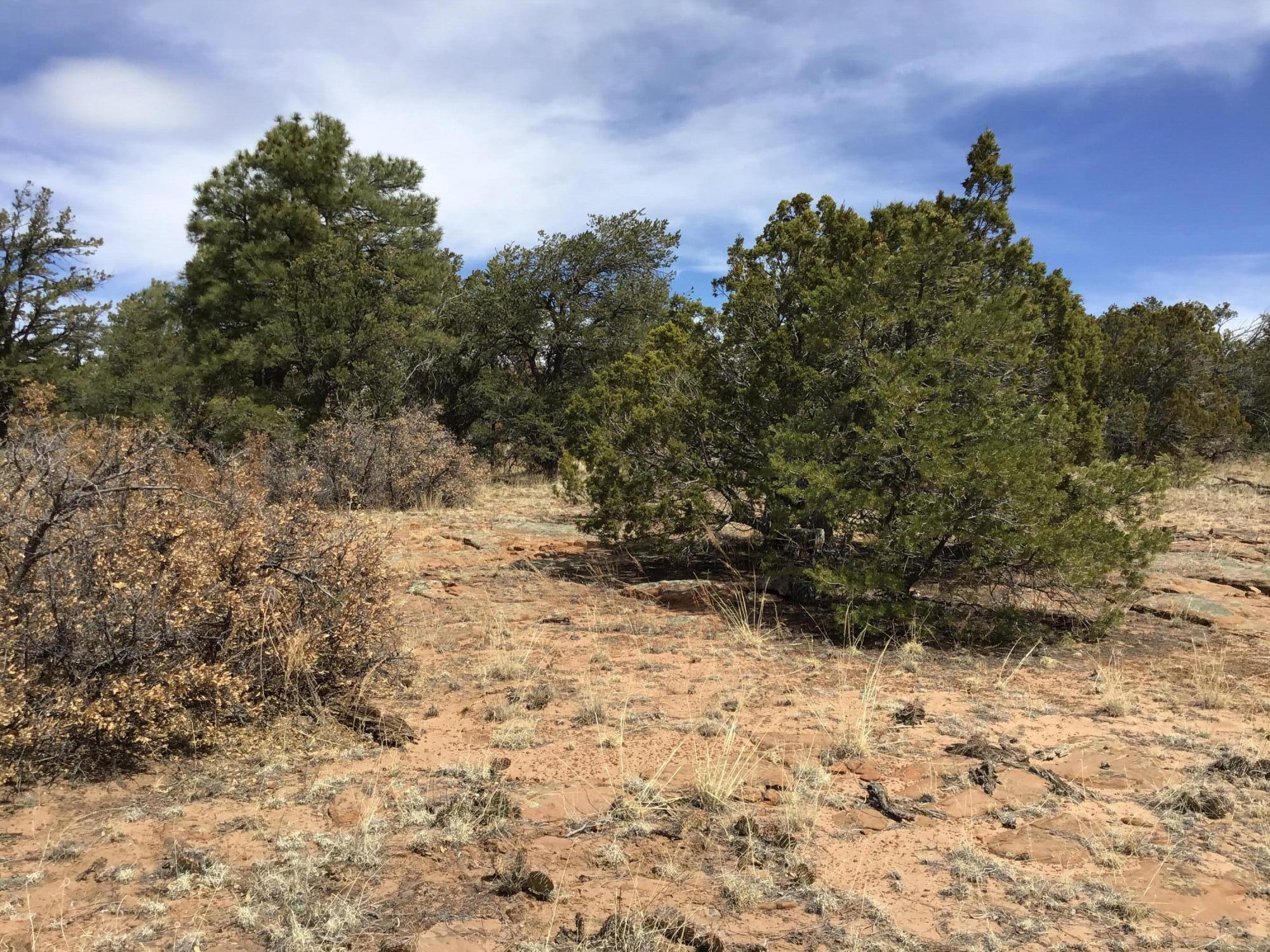 Lot 707 Che Loop, Ramah, New Mexico image 11