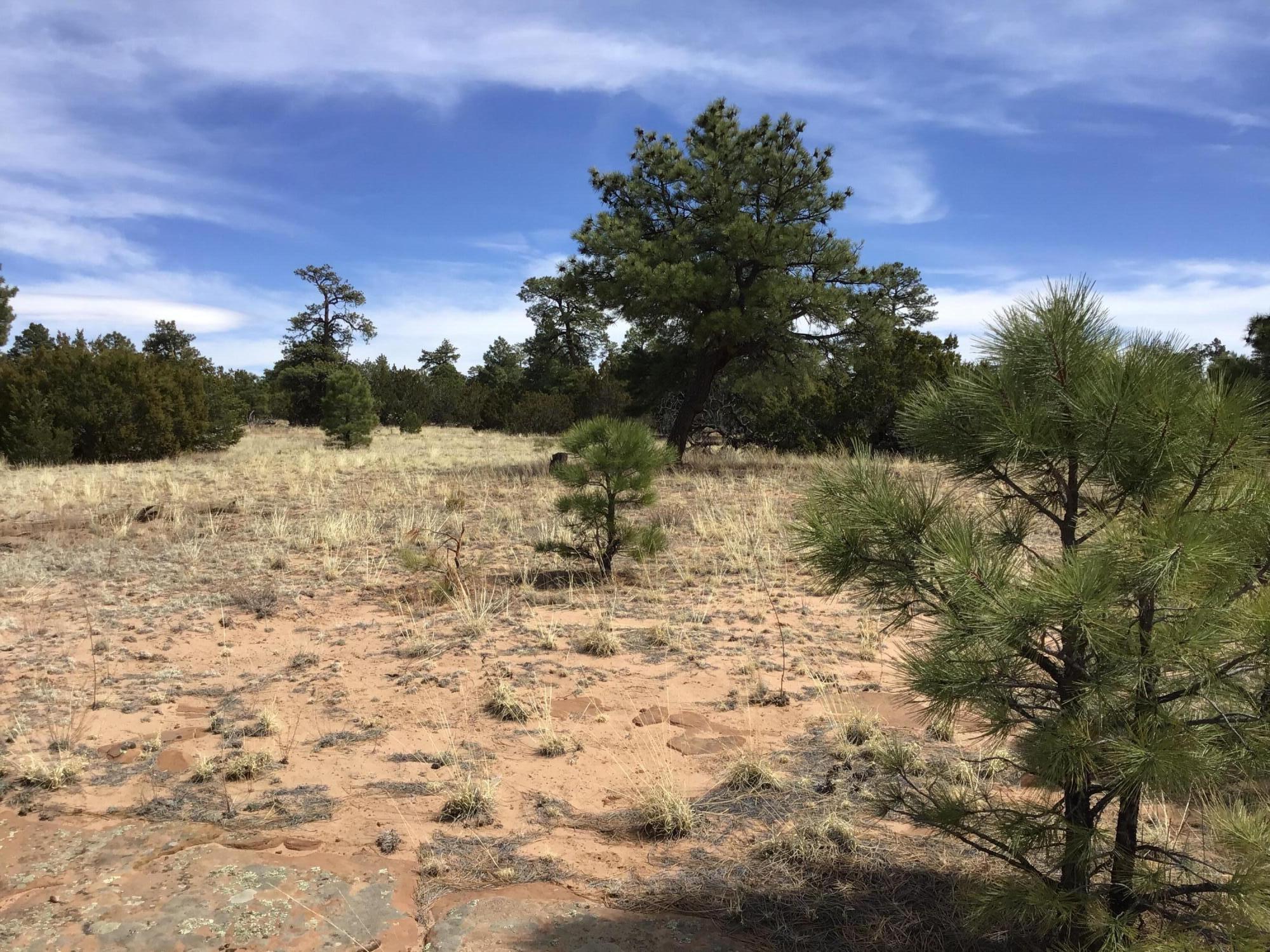 Lot 707 Che Loop, Ramah, New Mexico image 13