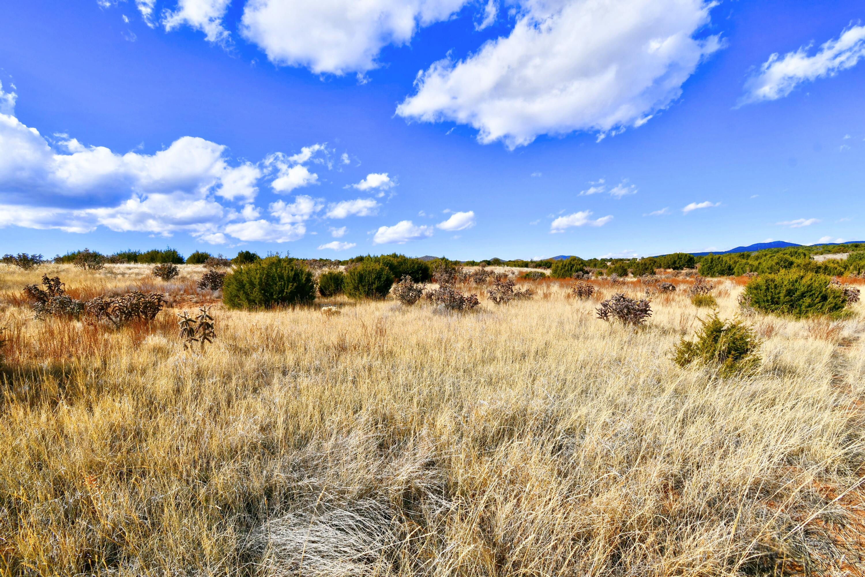 8 Entranosa Court, Edgewood, New Mexico image 12