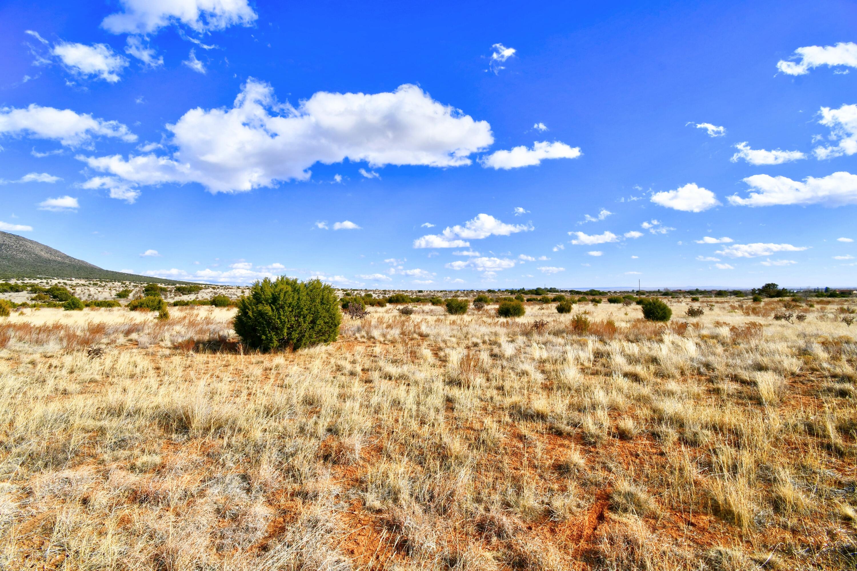 8 Entranosa Court, Edgewood, New Mexico image 2