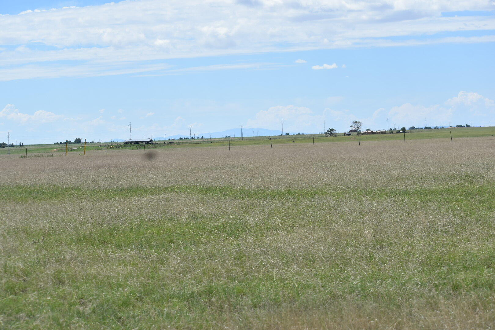 00 Sunrise Drive, Moriarty, New Mexico image 12